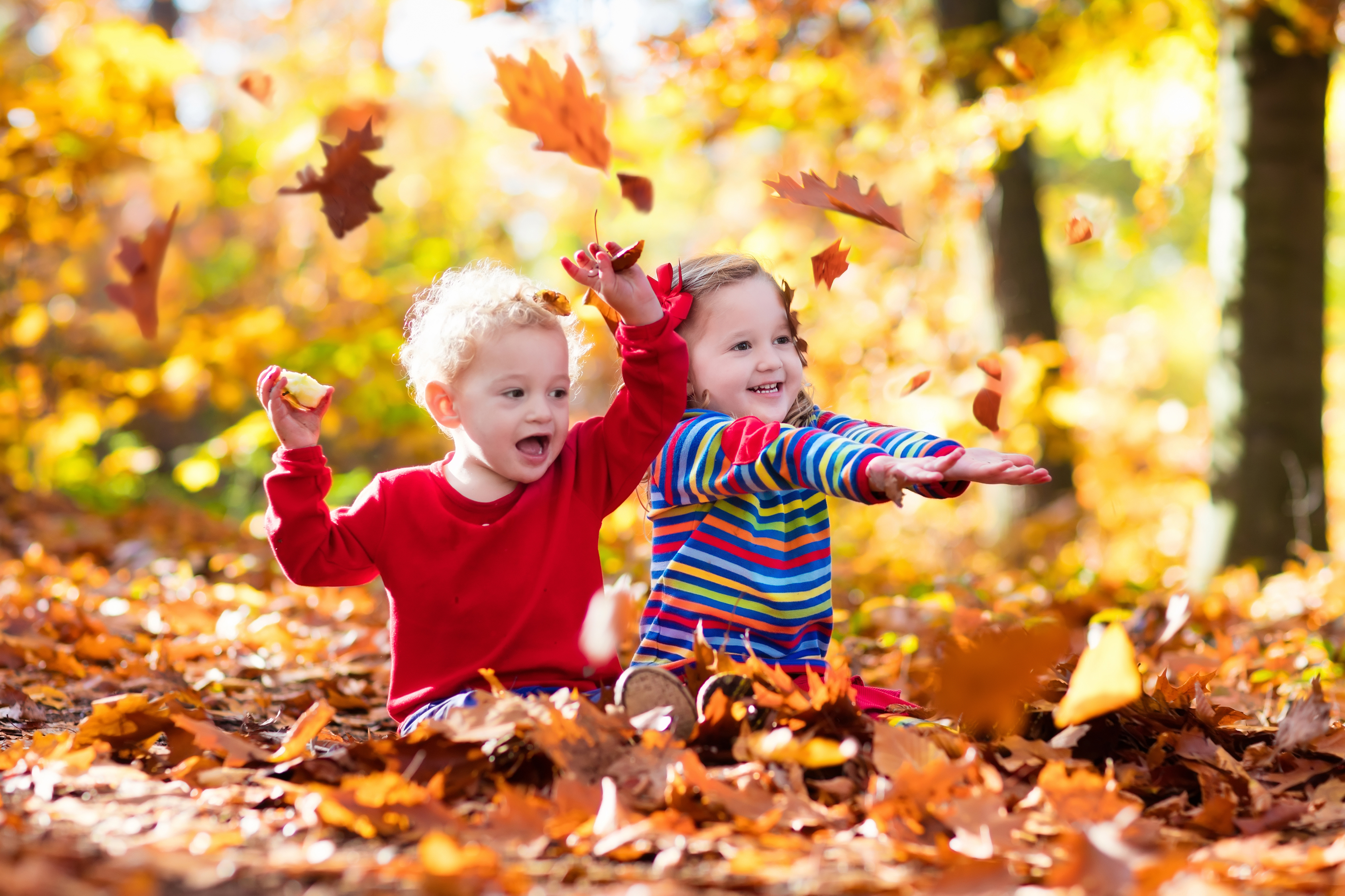Дети играют в парке осенью