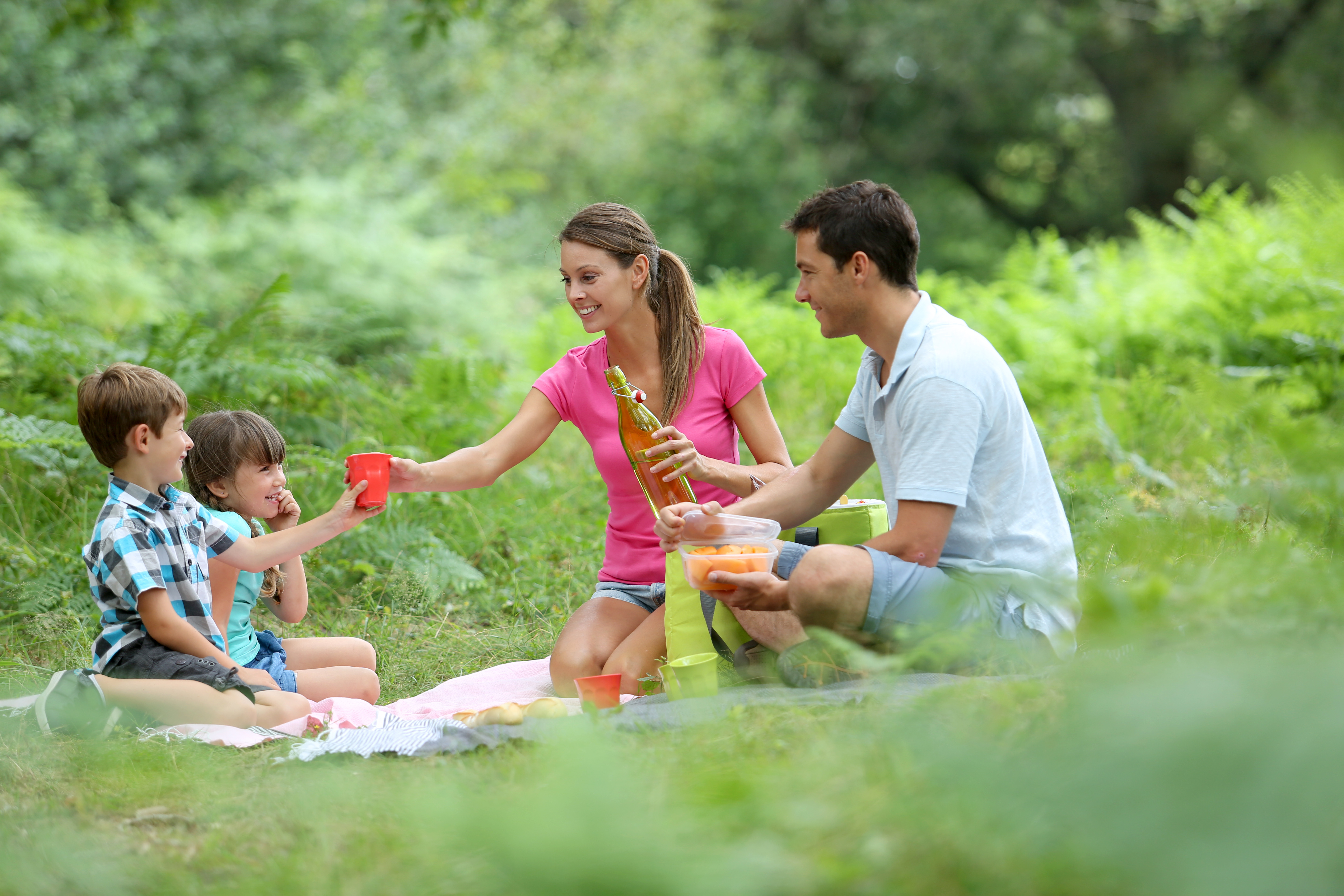Plan the Perfect Gatlinburg Picnic in Four Easy Steps