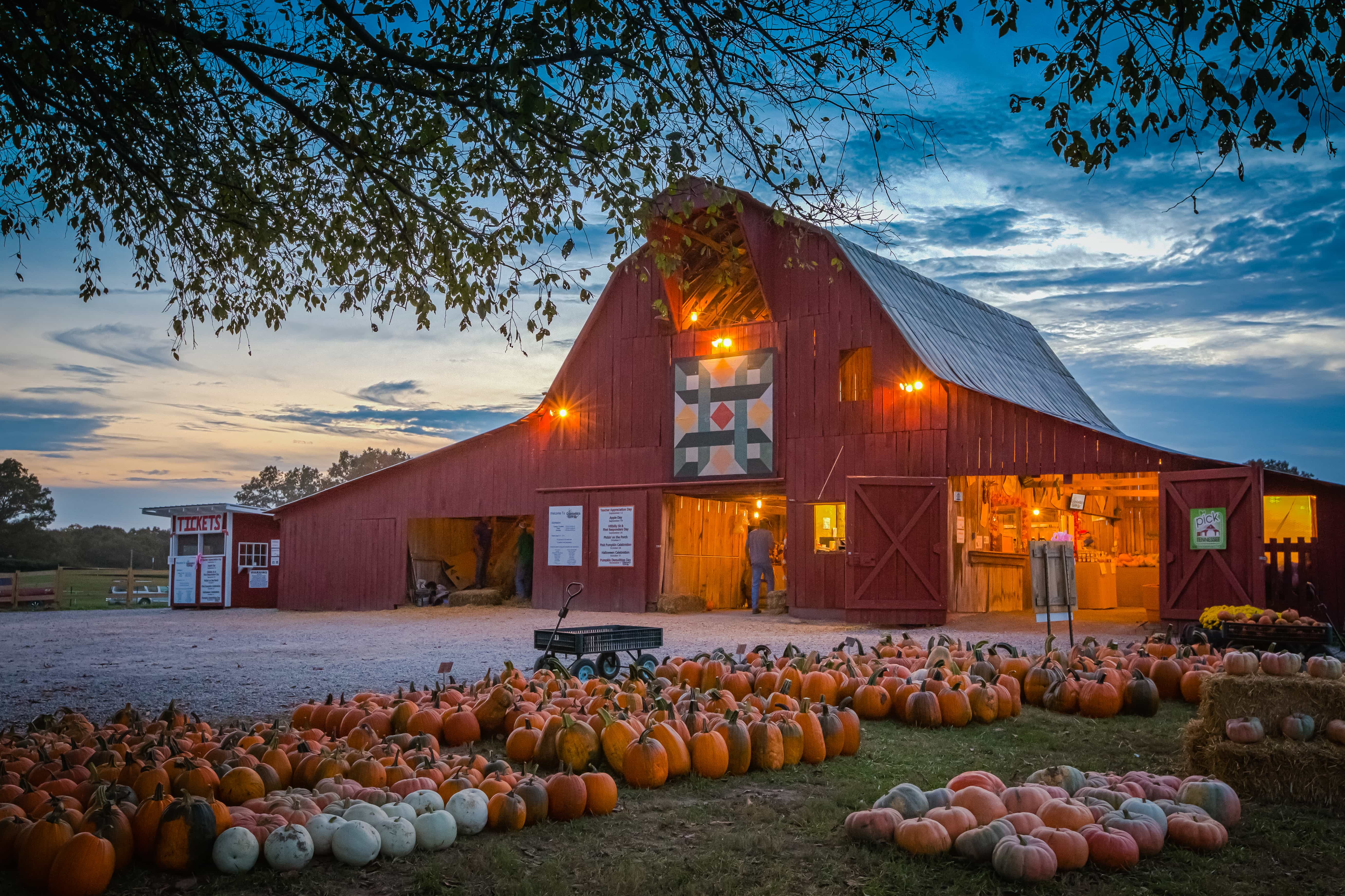 Home - Grandaddy's Farm