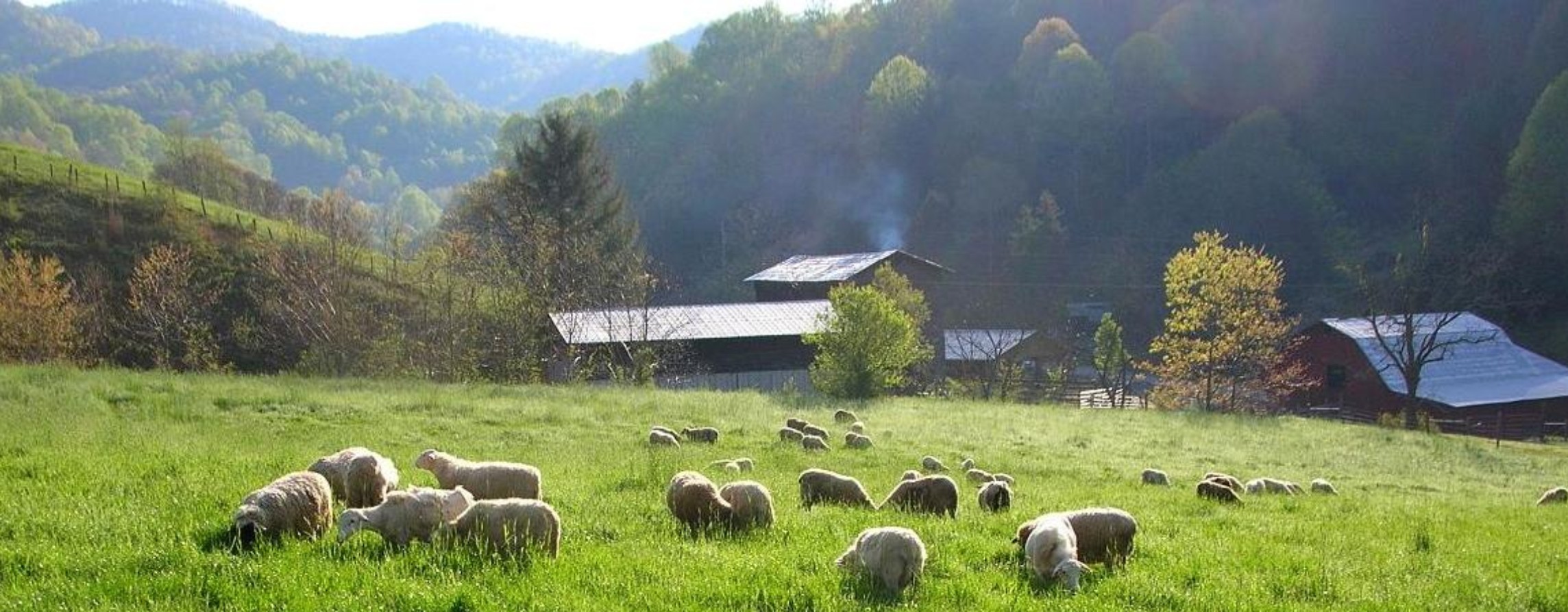 East Fork Farm – Farm * Cottages * Gristmill