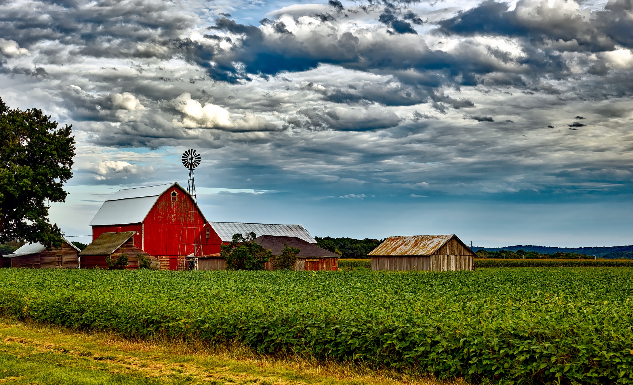 Agriculture Committee's Farm Bill Proposal is a Mixed Bag | FreedomWorks