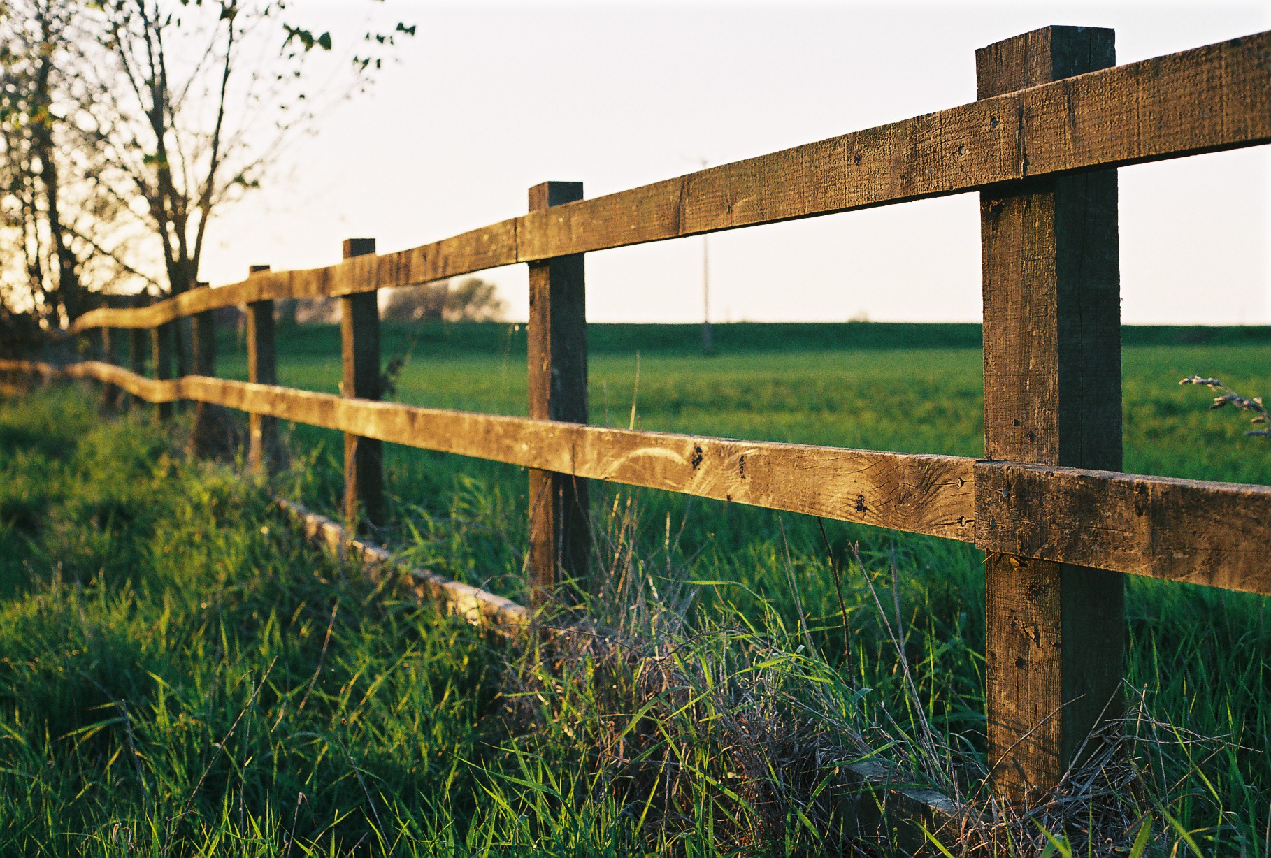 File:Farm fence in Watlington.jpg - Wikimedia Commons