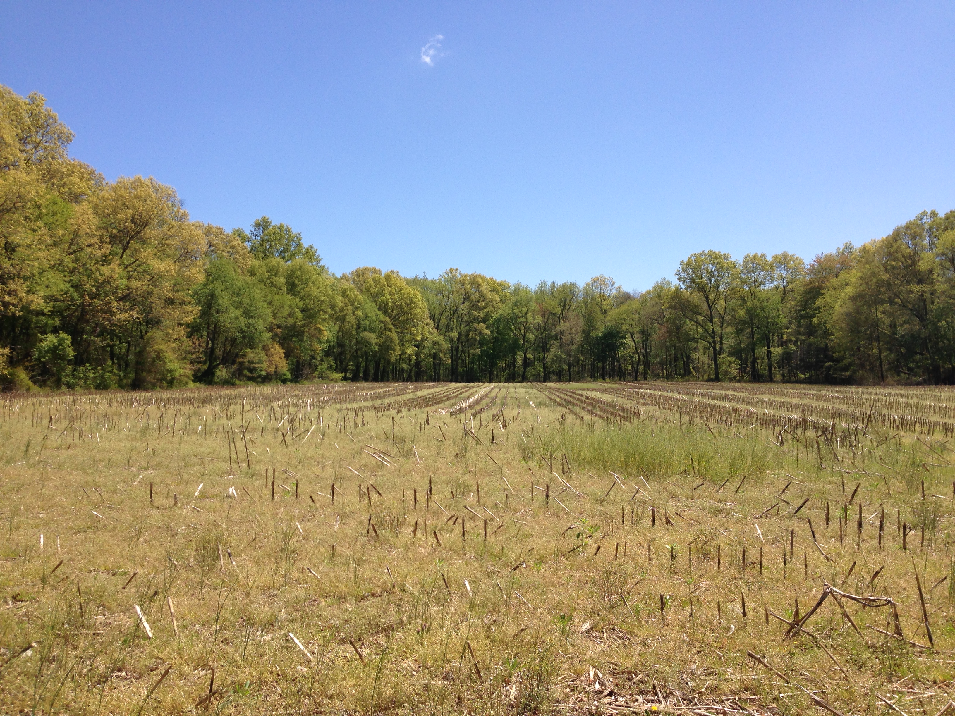 File:2013-05-04 13 16 00 Farm field along Meadowbrook Road in far ...