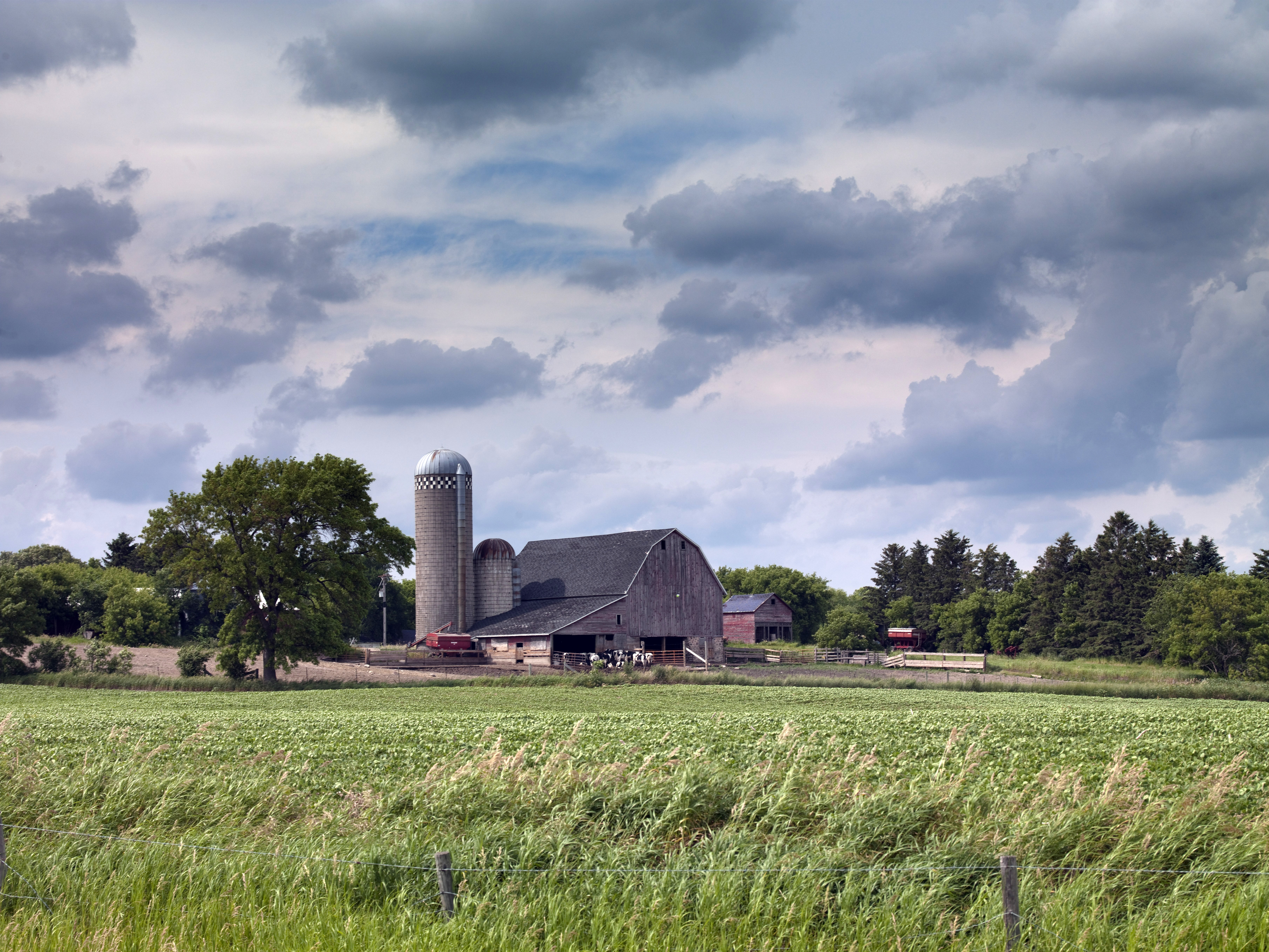 Farmhouse and farm under clouds in North Dakota image - Free stock ...