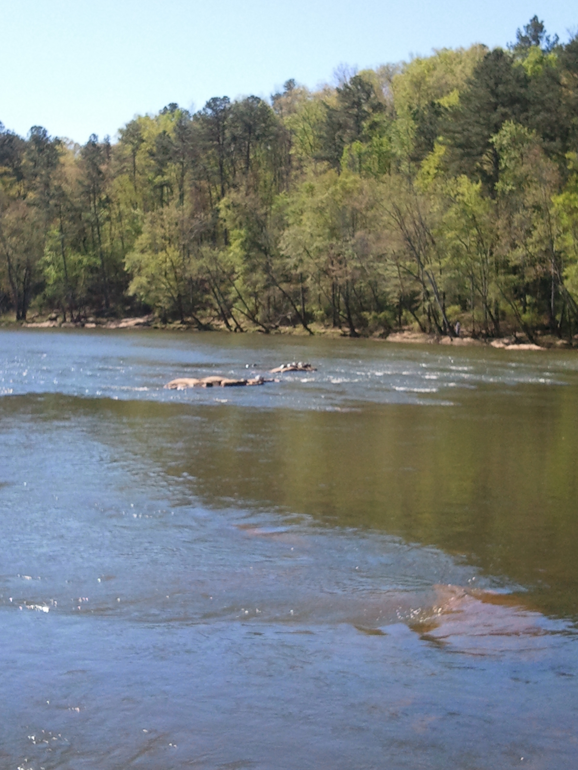 Fast-flowing river photo