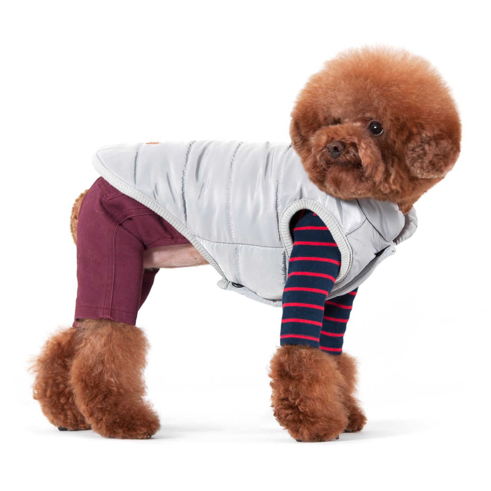 SNIFF GRAY PADDING VEST - DOG CLOTHES