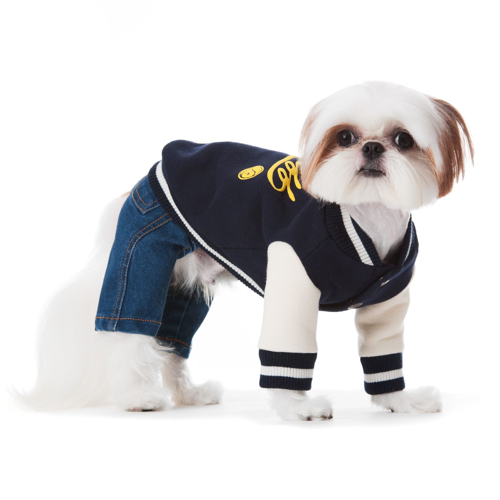 SNIFF BASEBALL JUMPER - DOGS CLOTHES