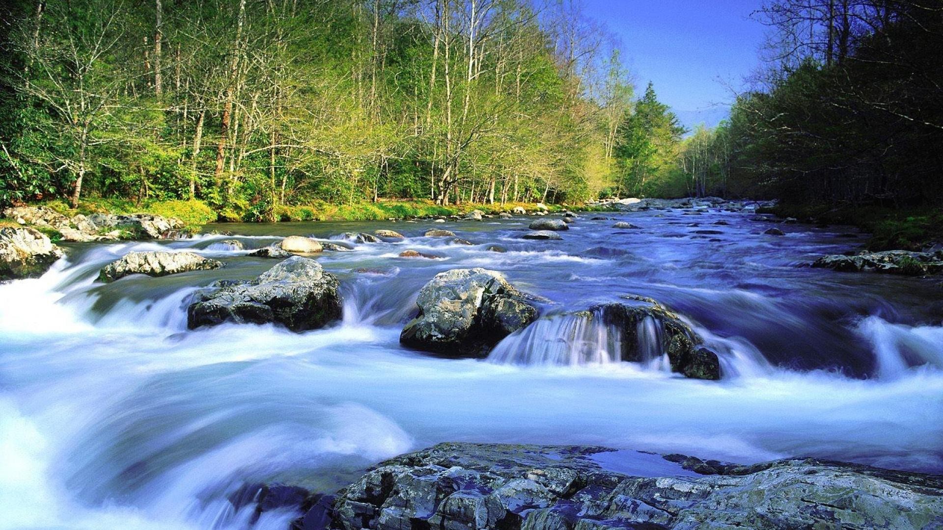 Rivers: Lovely Fast Flowing River Forest Rocks Dual Wallpaper for HD ...