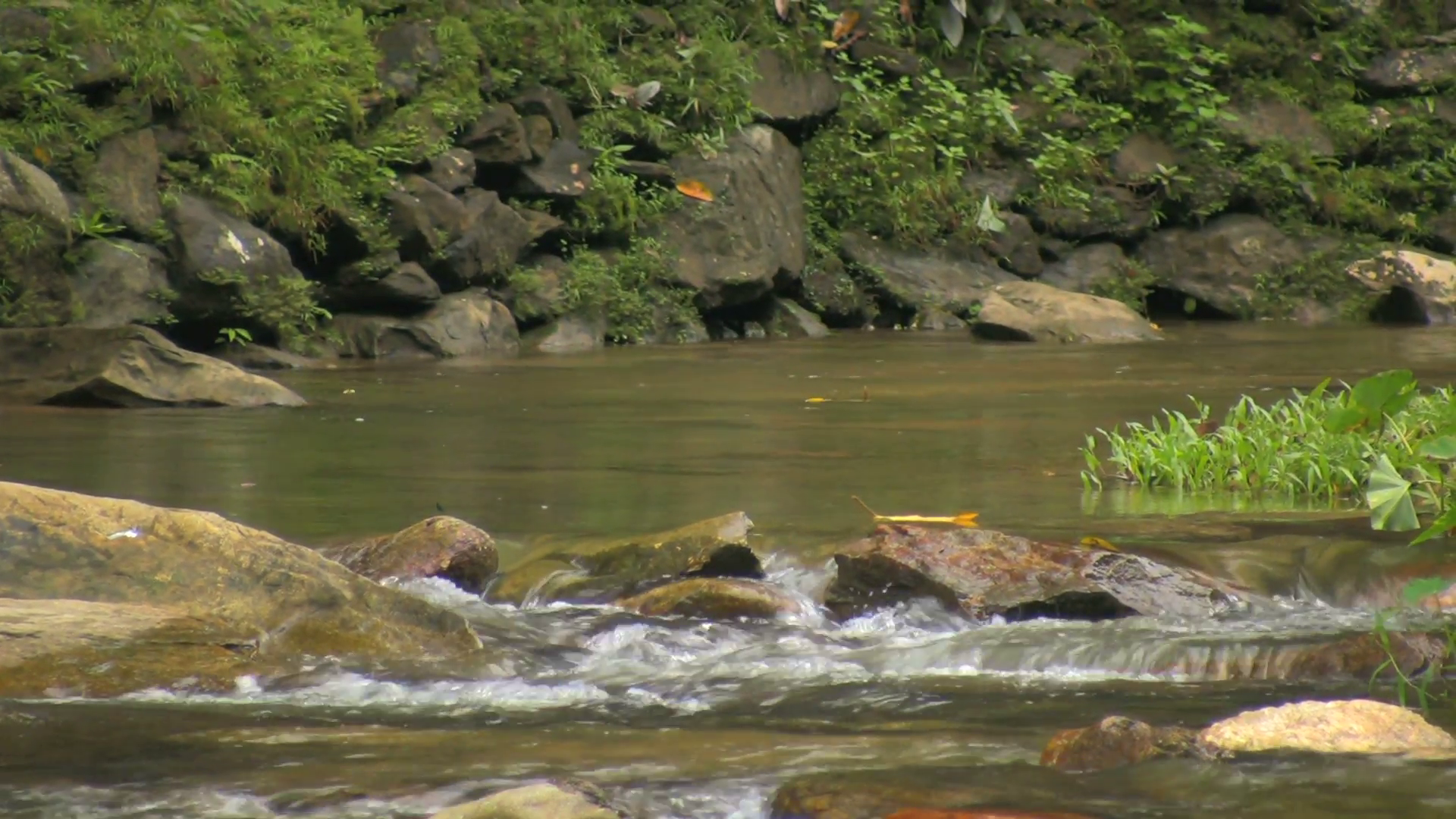Fast flowing river with clear water in the Philippines Stock Video ...