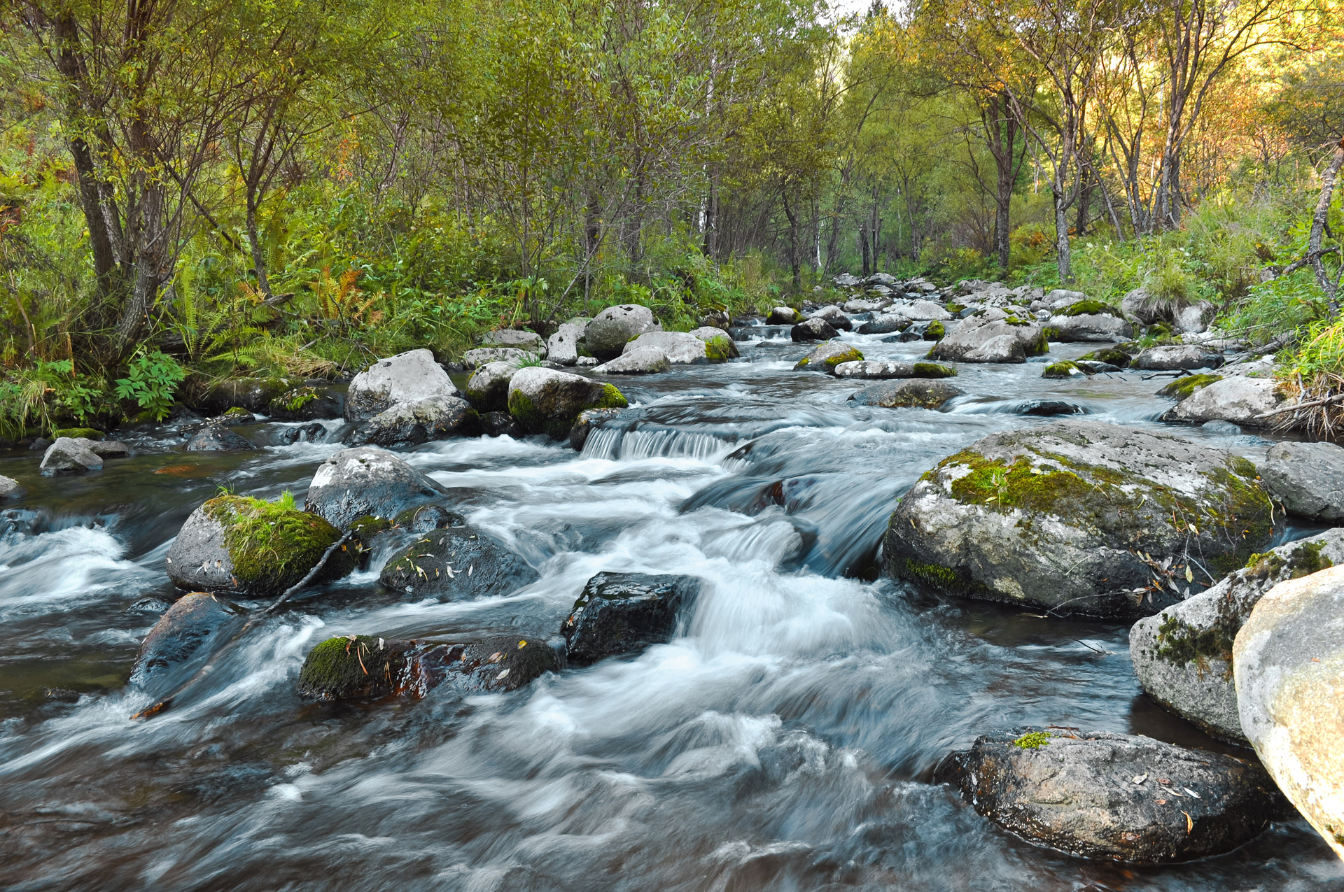 Fast Flowing River Free Stock Photo - Public Domain Pictures