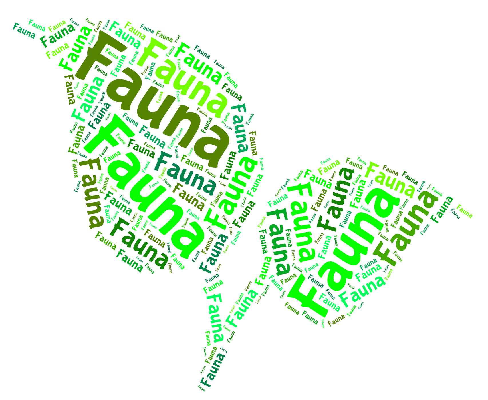 Fauna word represents animal kingdom and area photo
