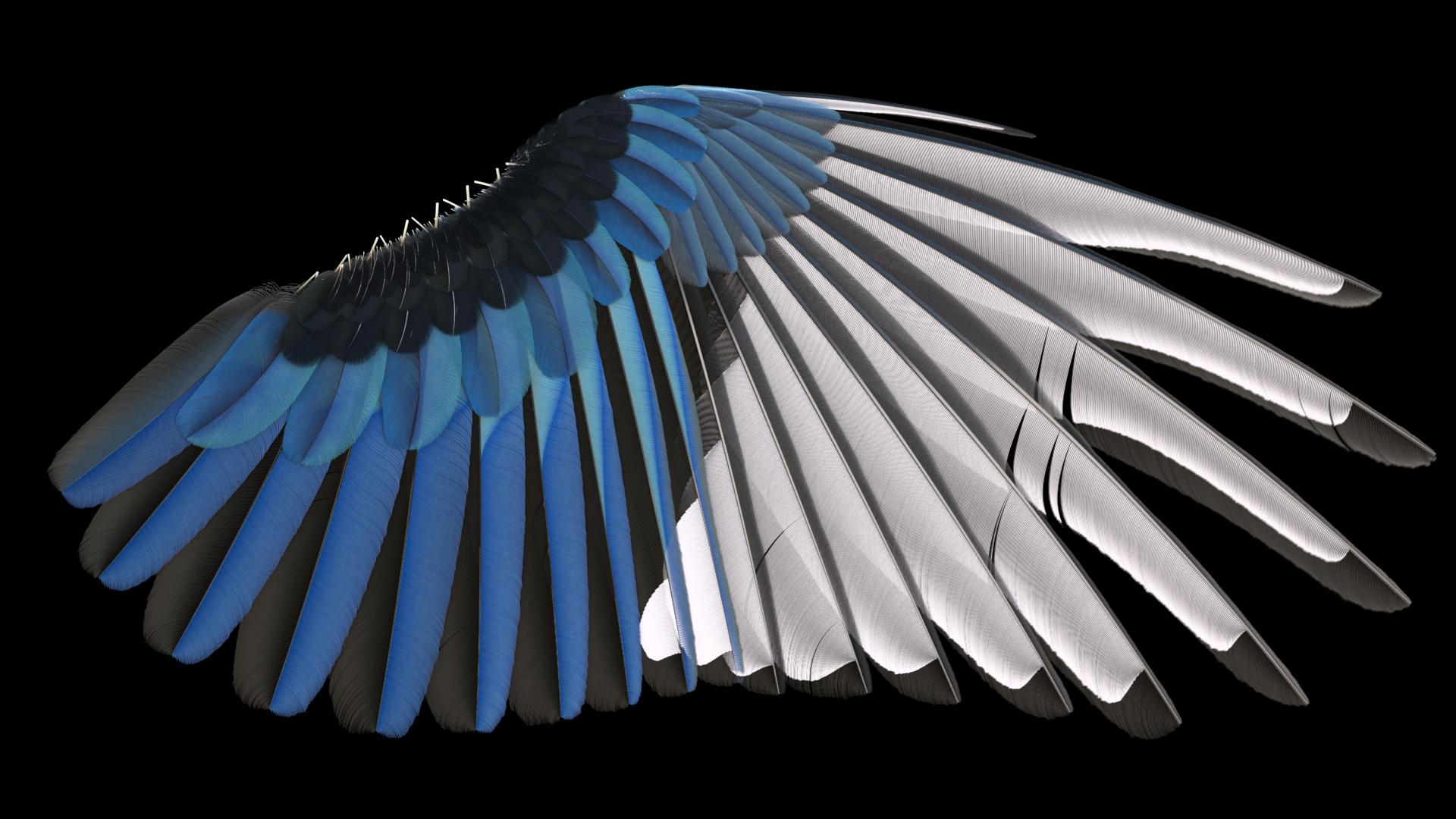 Feather Tools | SideFX
