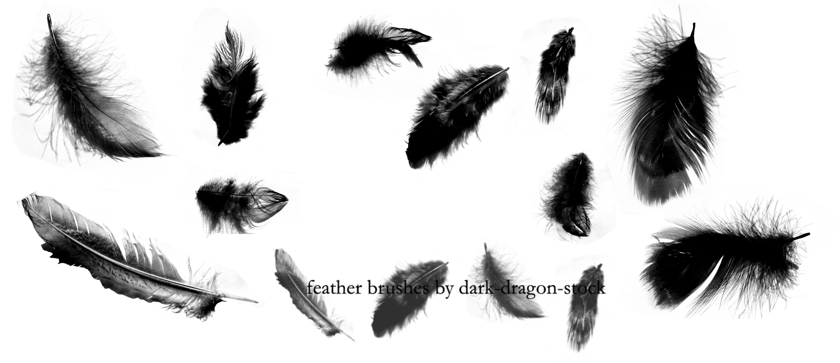 feather brushes by dark-dragon-stock on DeviantArt