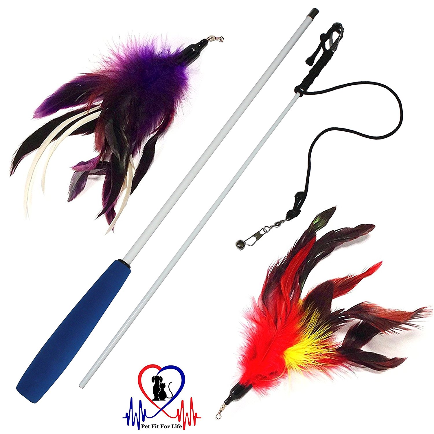 Amazon.com : Pet Fit For Life Multi Feather Teaser and Exerciser For ...