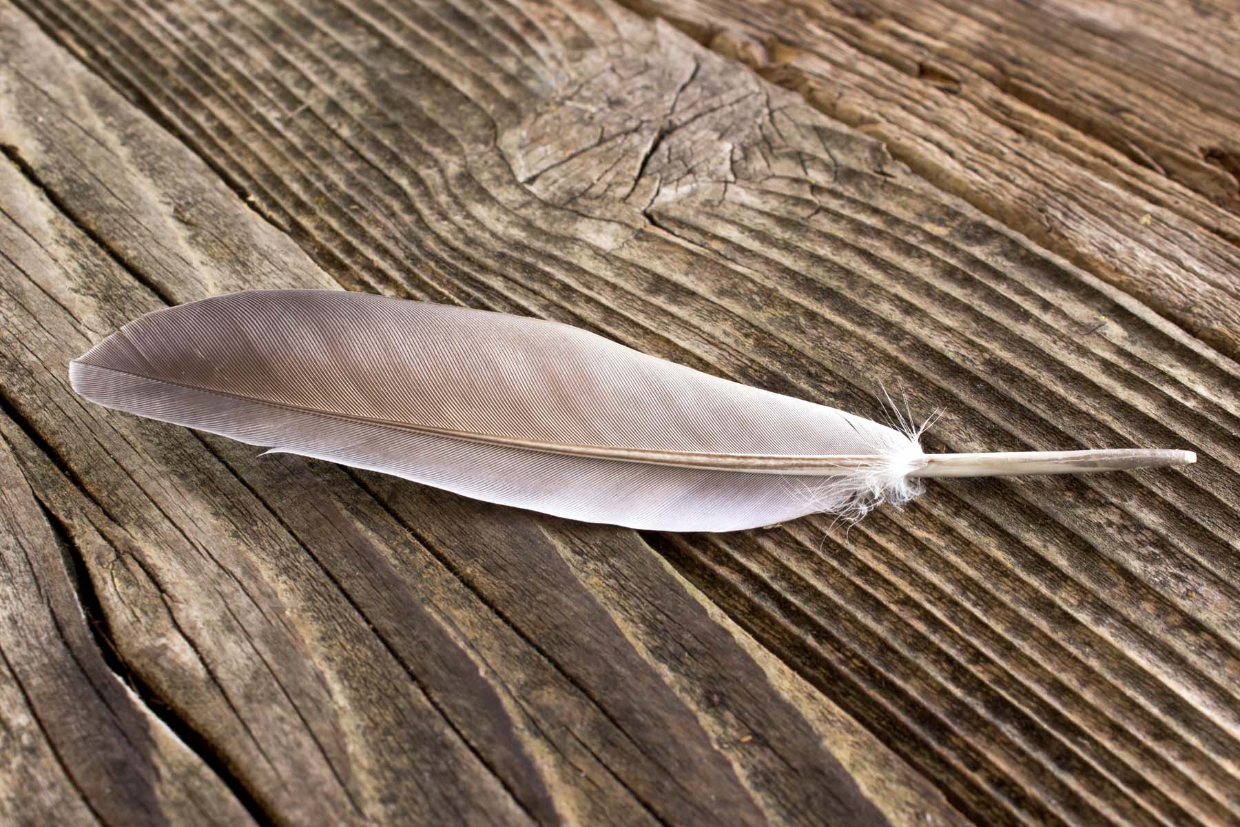 Has 'light as a feather, stiff as a board' ever worked? | HowStuffWorks