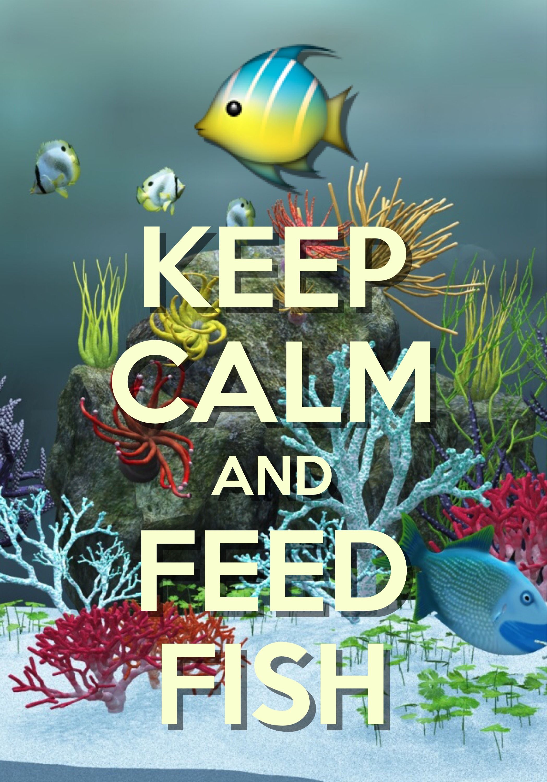 keep calm and feed fish / created with Keep Calm and Carry On for ...