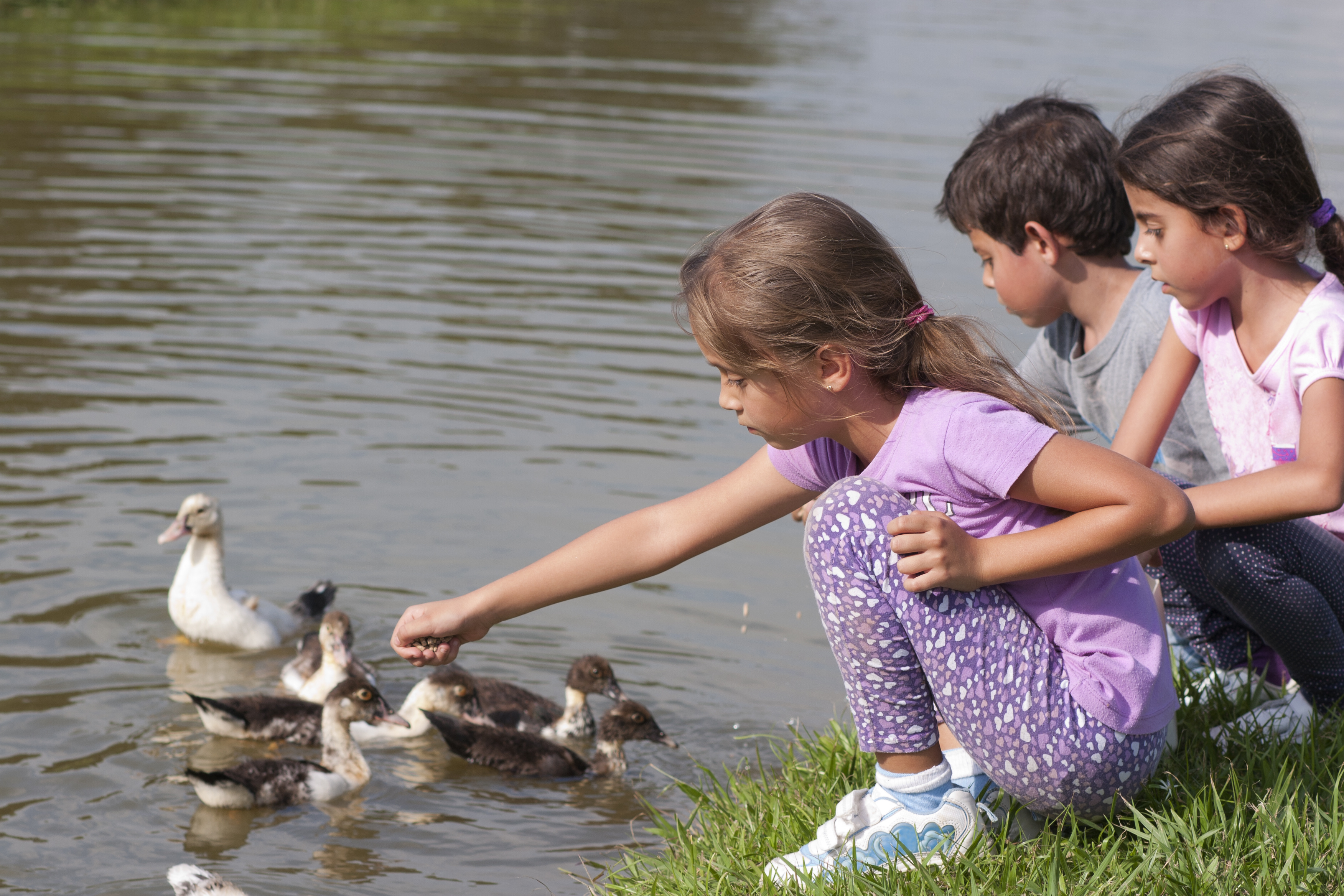 Do You & Your Young Children Or Grandchildren Love To Feed The Ducks?