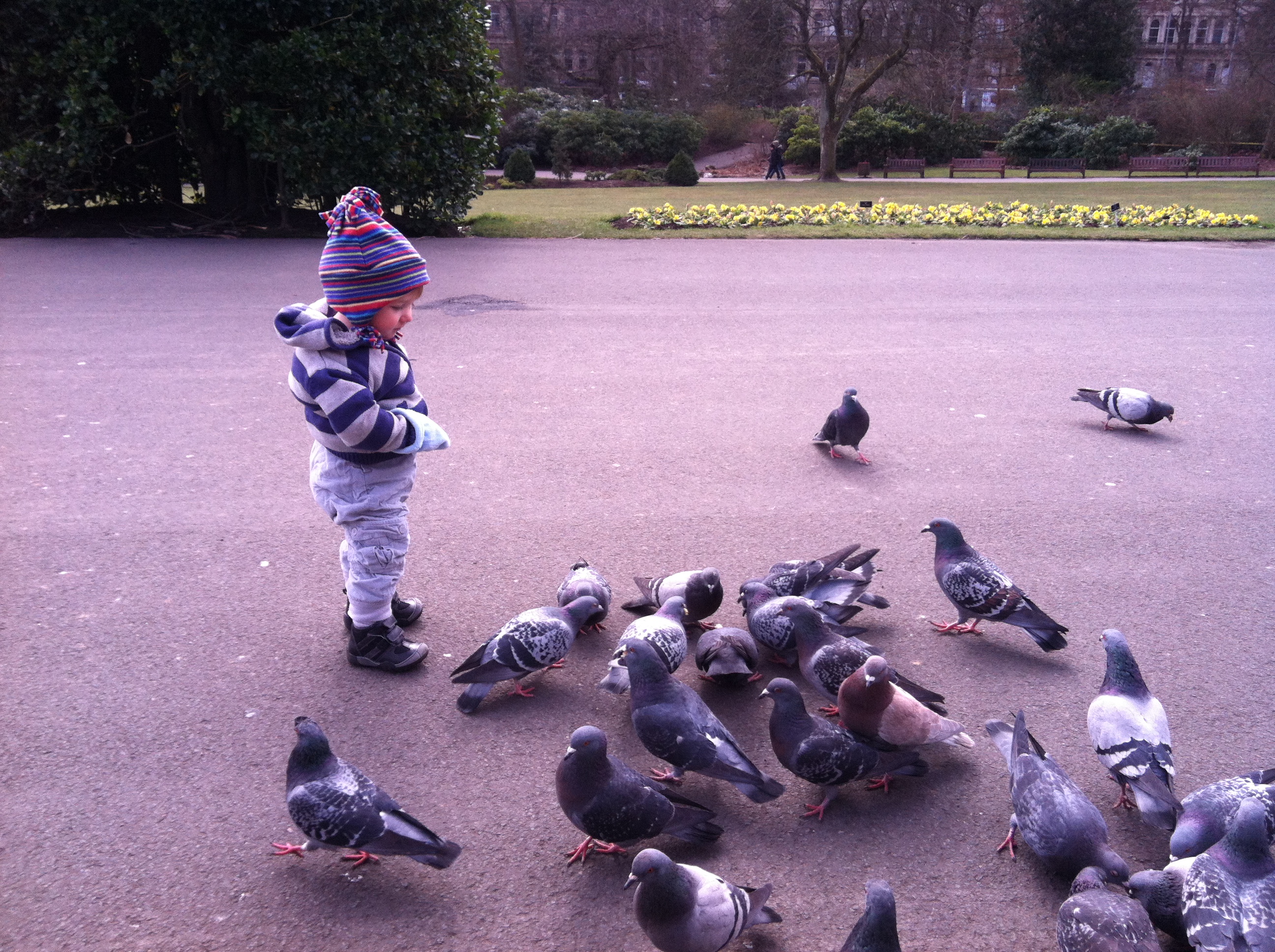 feeding the pigeons | So Many Miles to Go