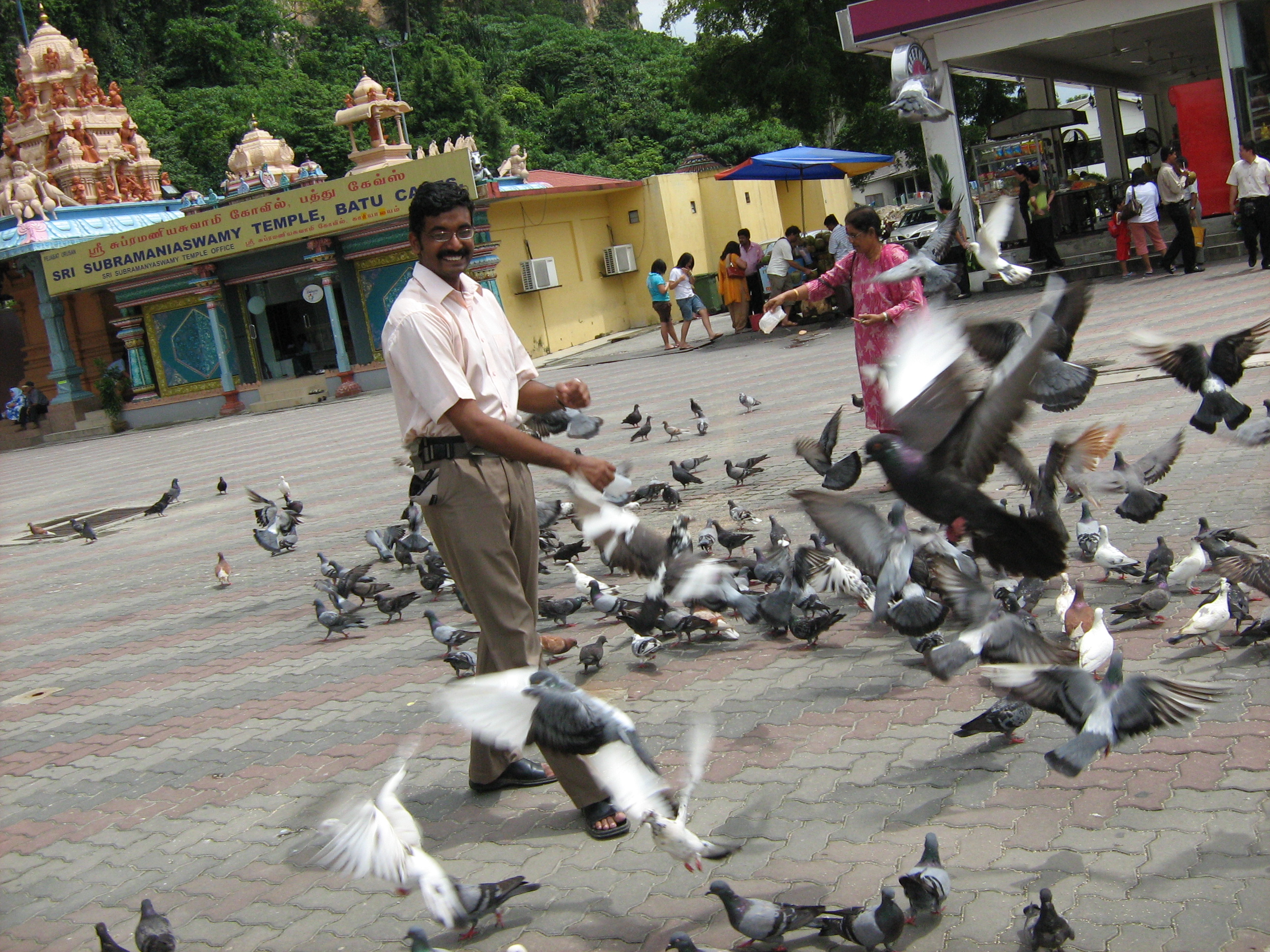 File:Irvin calicut feeding pigeons in batu caves in malaysia 0 (1 ...