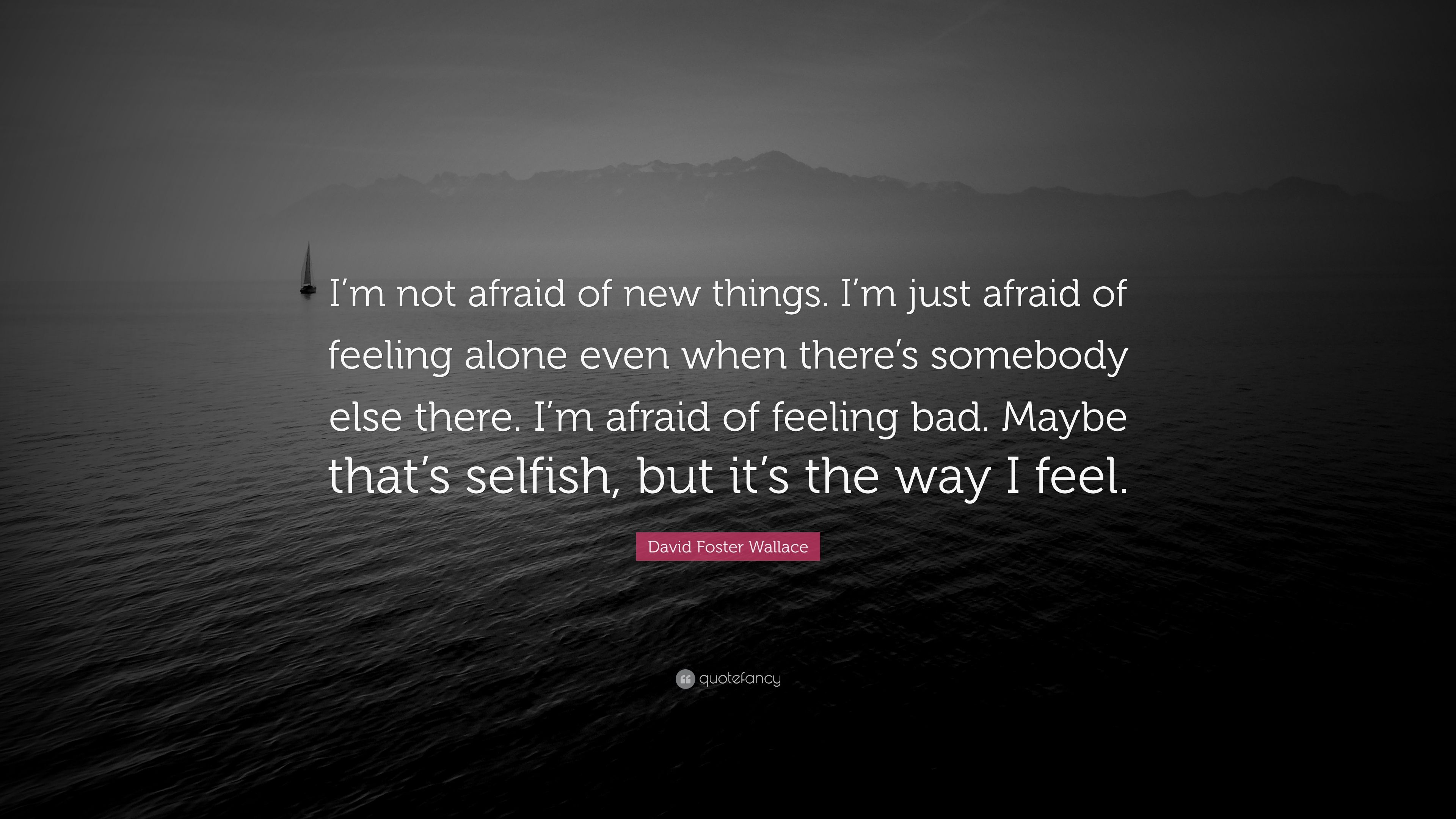 David Foster Wallace Quote: “I'm not afraid of new things. I'm just ...