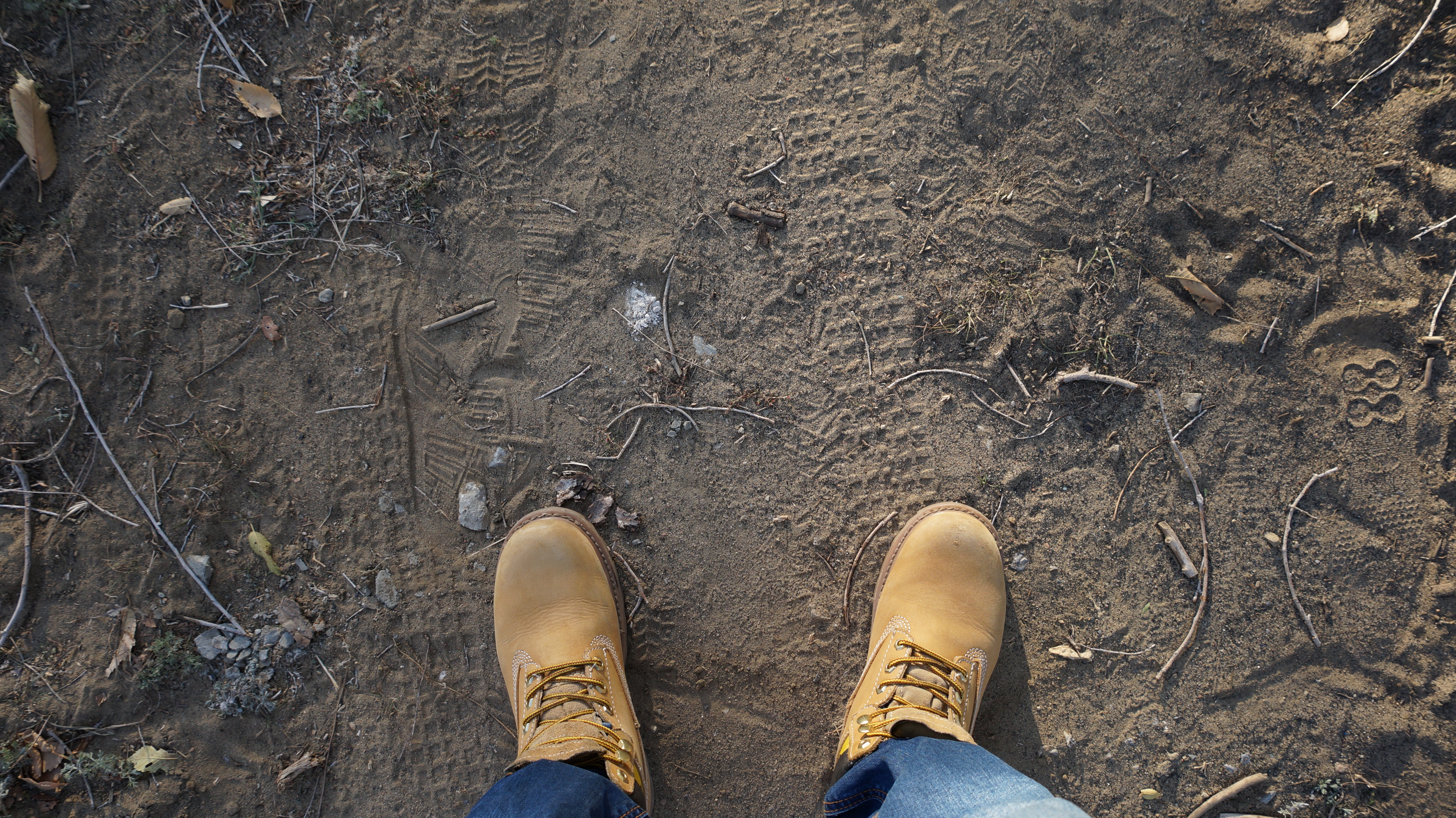 Feet, Activity, Dirt, Human, Shoes, HQ Photo