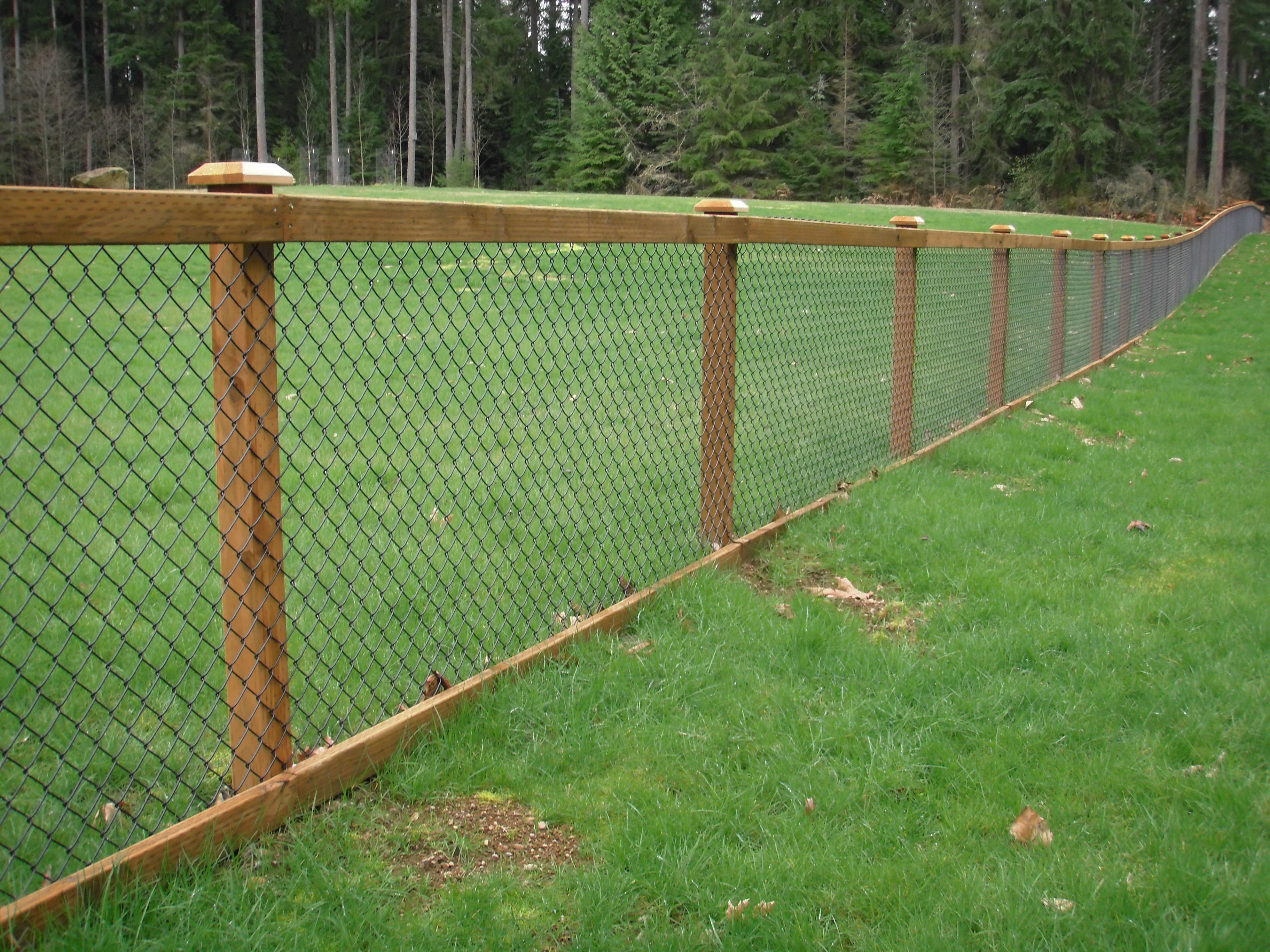 Chain Link Combined with Wood Slats to Make a Beautiful Fence