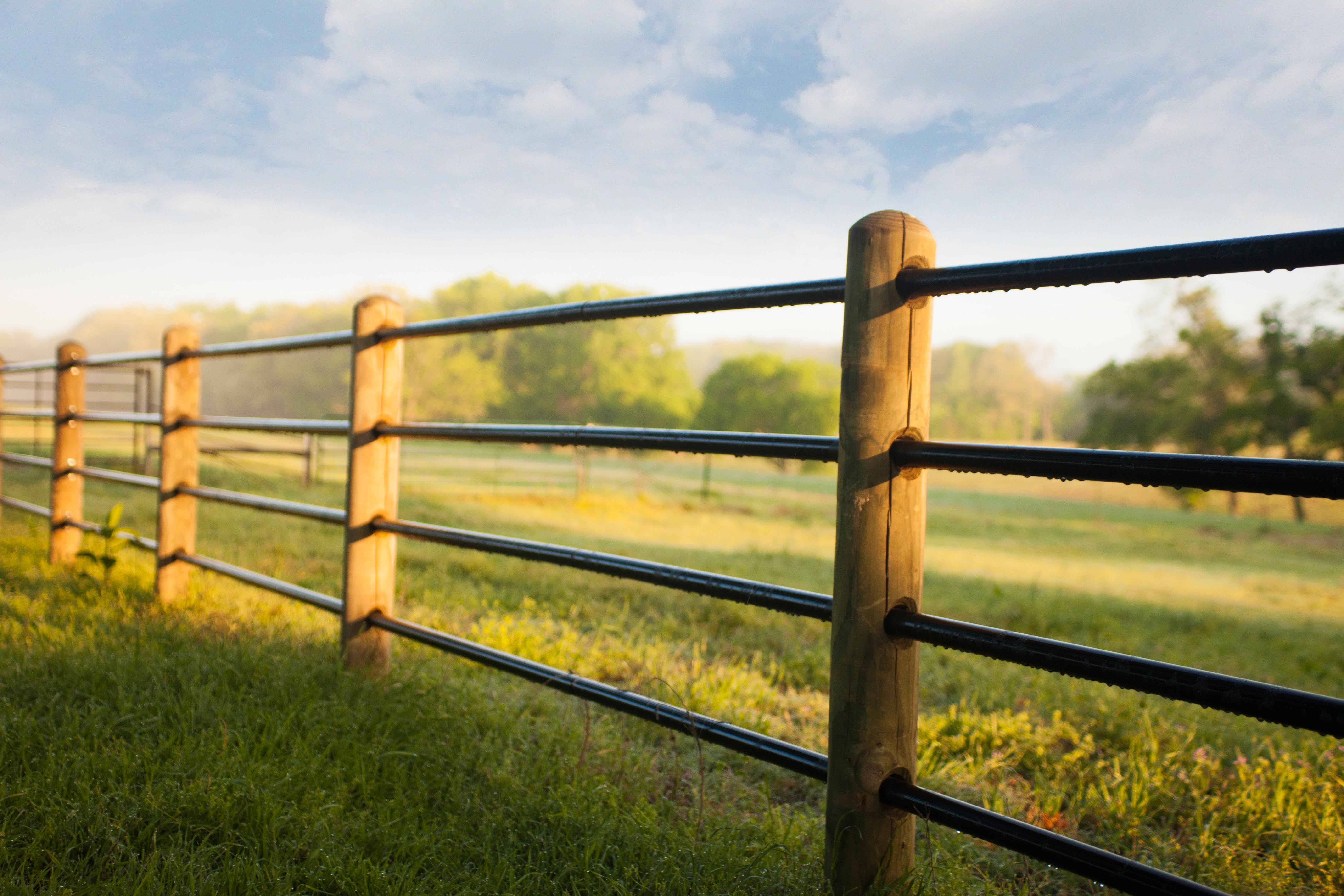 Priefert Fence | Good Fence Make Good Neighbors