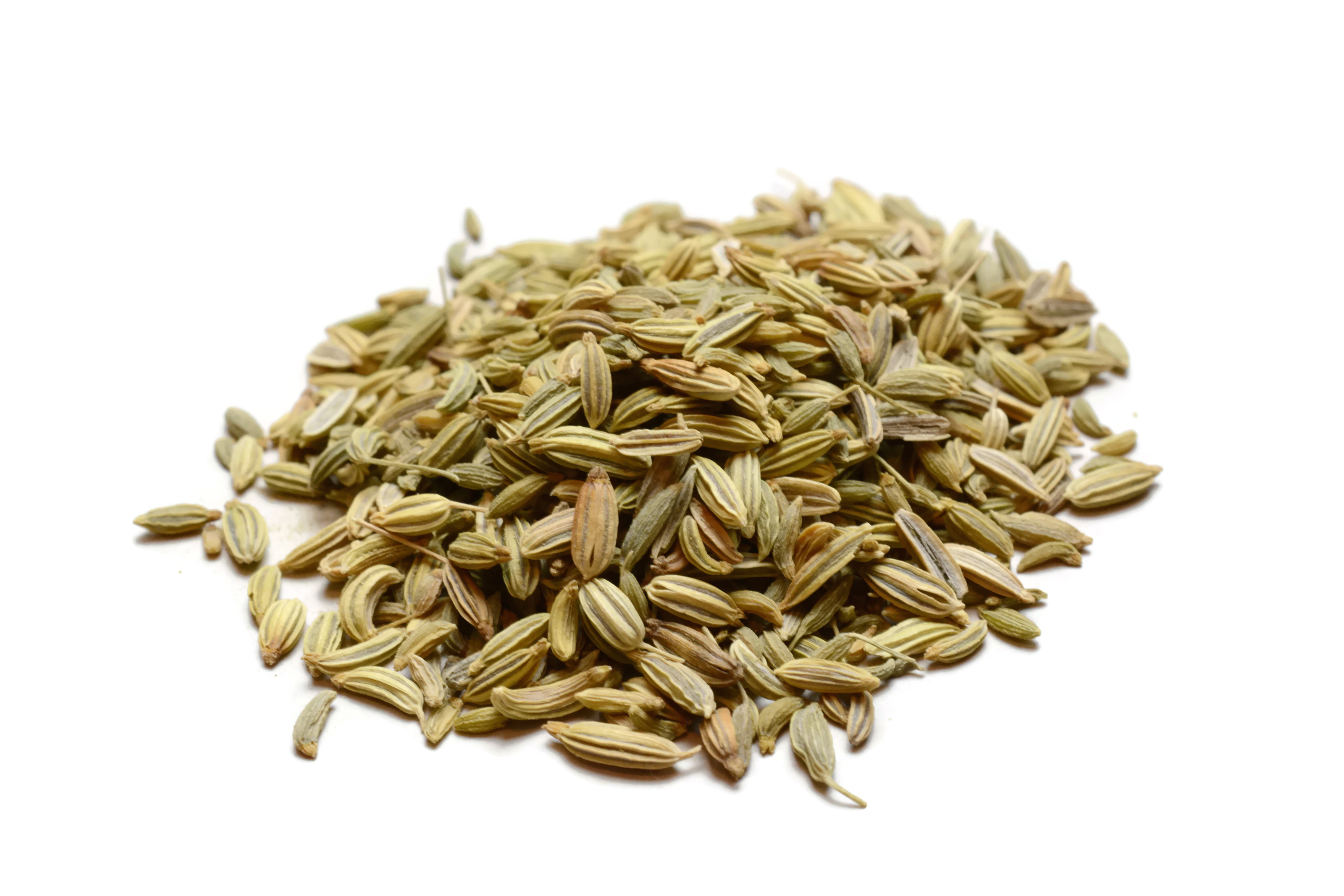 Fennel Seed - High Plains Spice Company