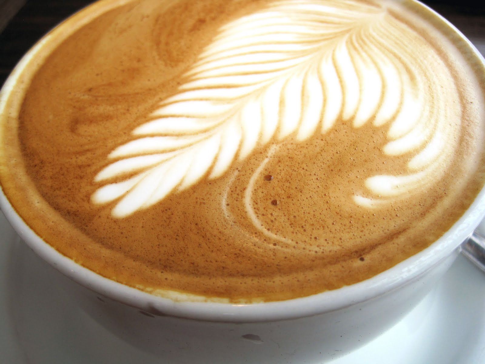 leafy fern | Art in a cup | Pinterest | Latte, Coffee art and Espresso