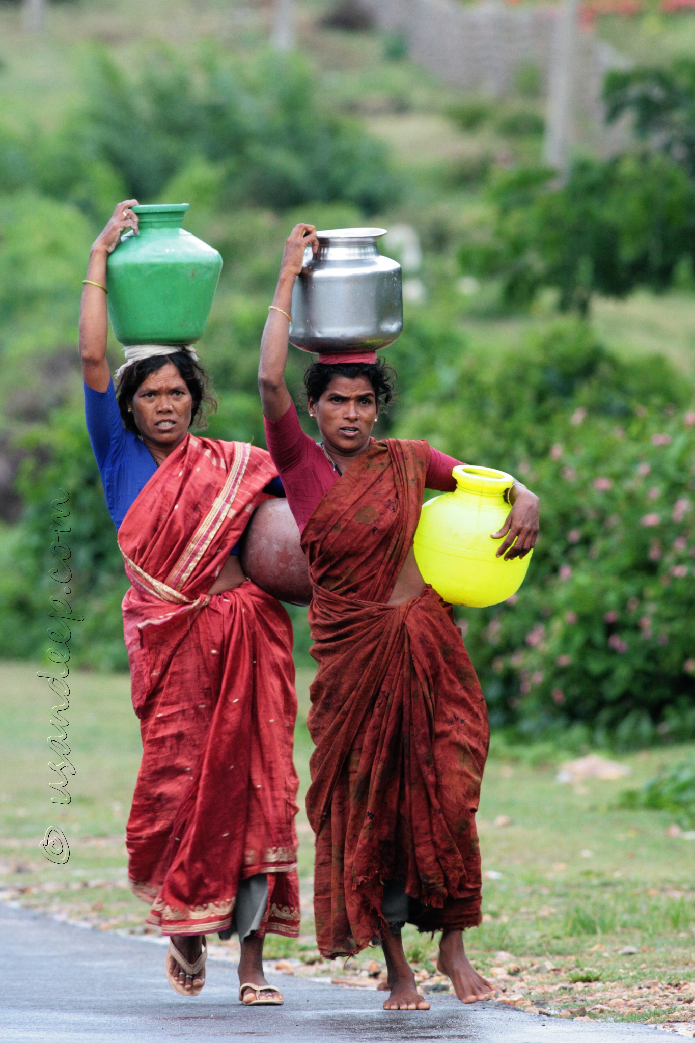 Fetching the water photo