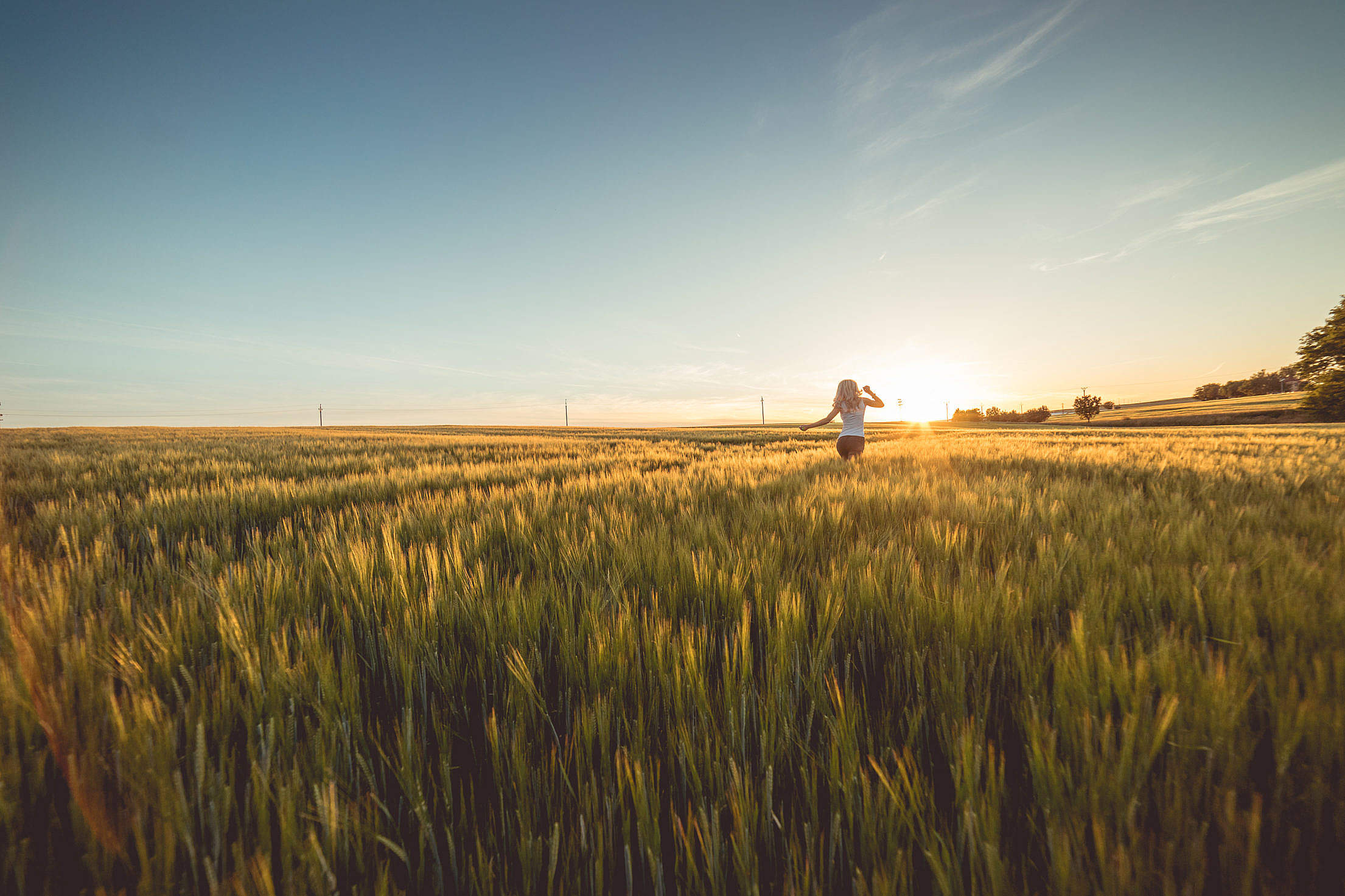 Young Woman Running Through Wheat Field on Sunset Free Stock Photo ...