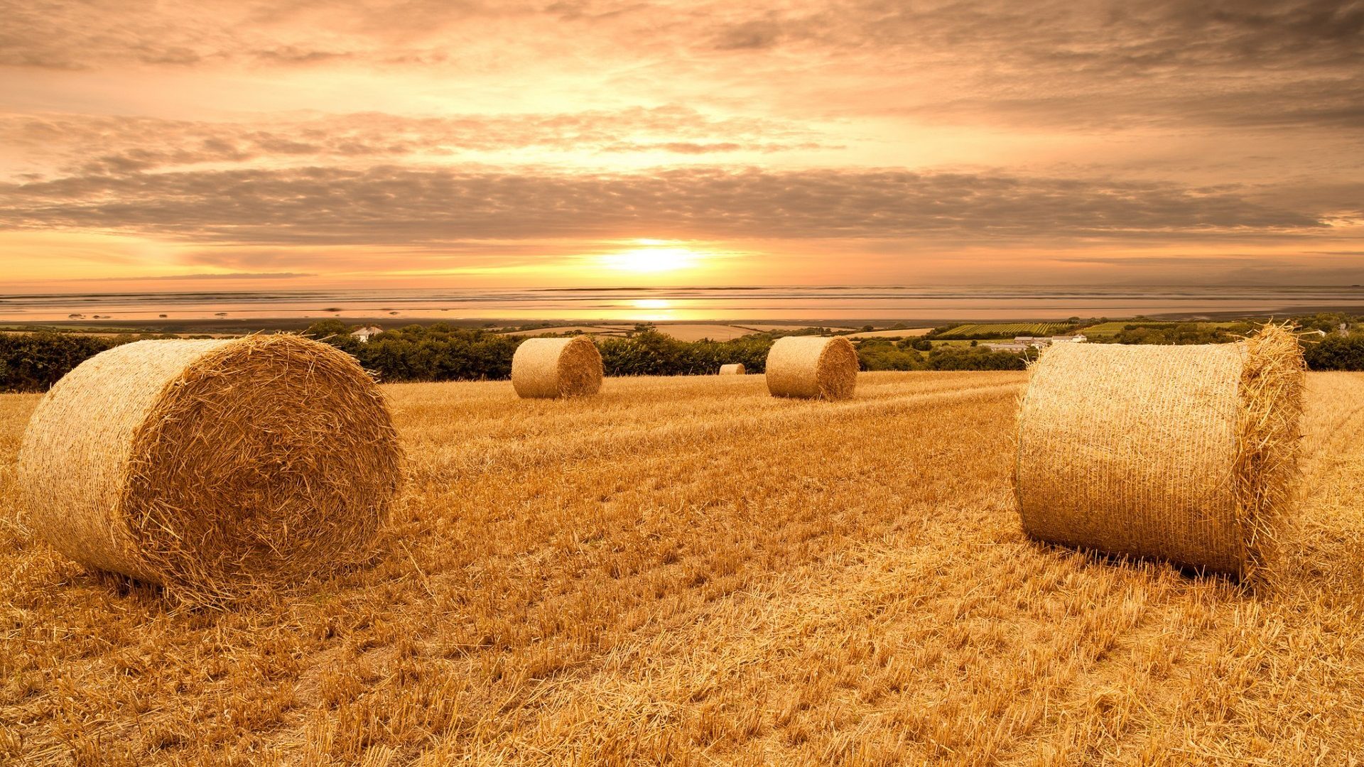 Field: Hay Bales Nature Sunset Field Haybales Hd Wallpapers Paddy ...
