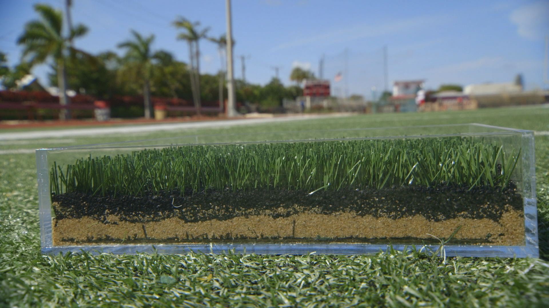 How AstroTurf Got Kicked Off the Field - YouTube