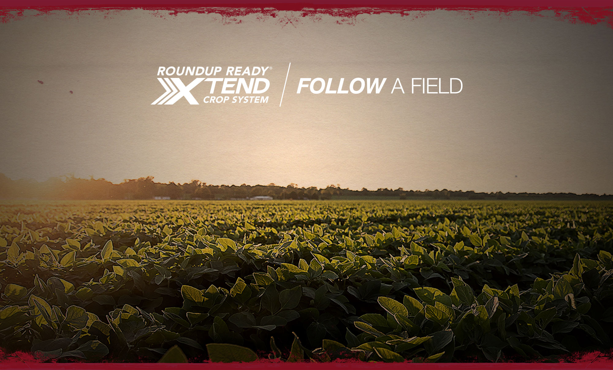 Follow A Field | Roundup Ready Xtend Crop System
