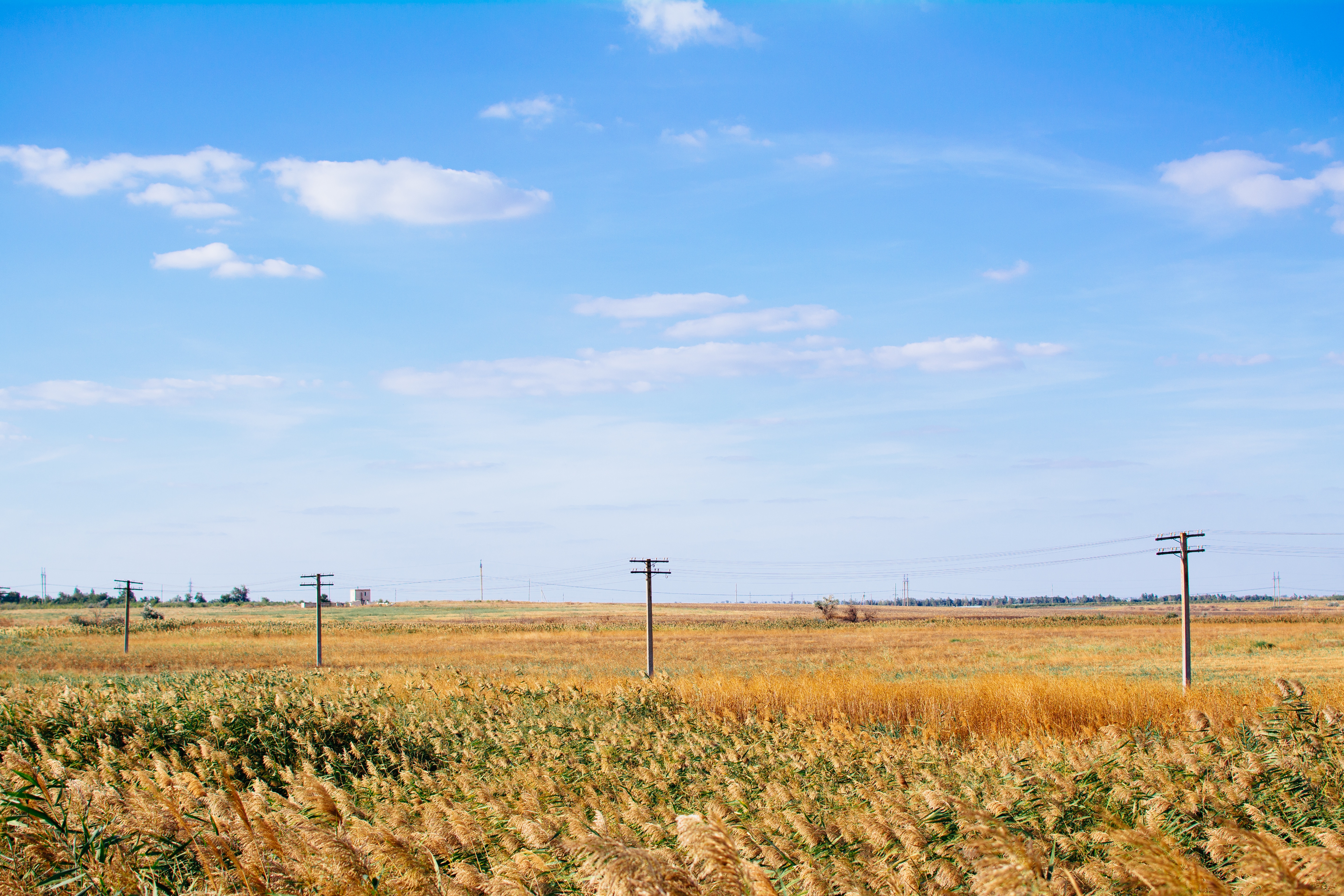 Field, Brown, Crops, Electricity, Land, HQ Photo