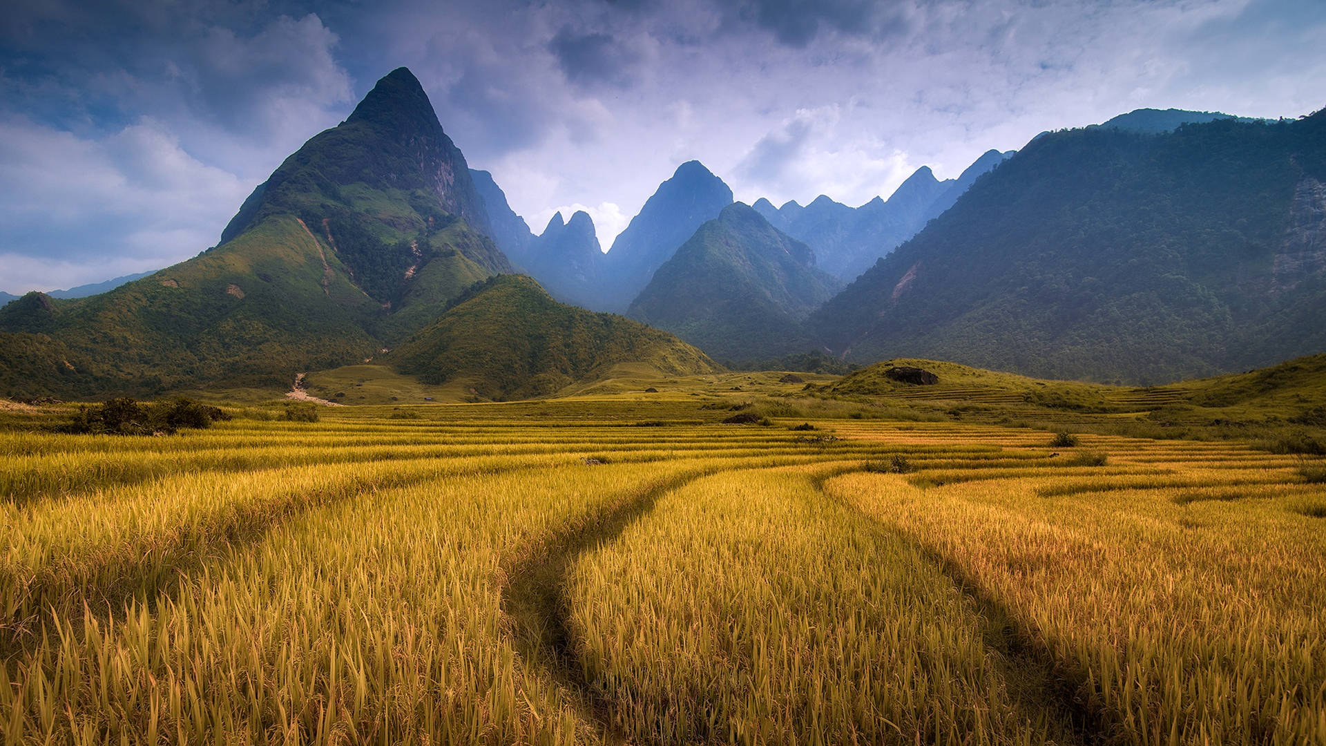 Field and mountains / 1920 x 1080 / Landscape / Photography ...