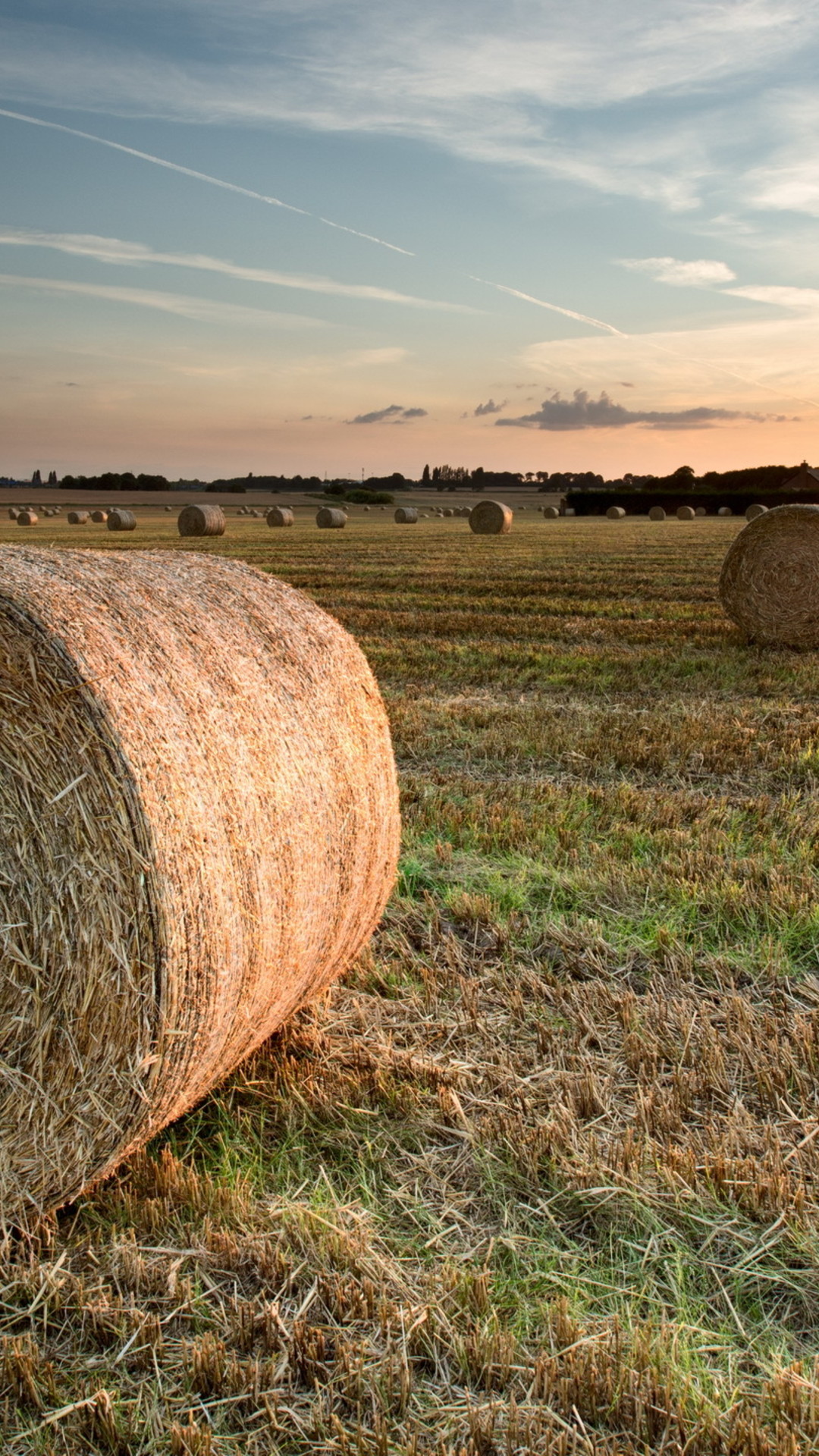 Field filled with bales of hay Wallpaper Download 1080x1920