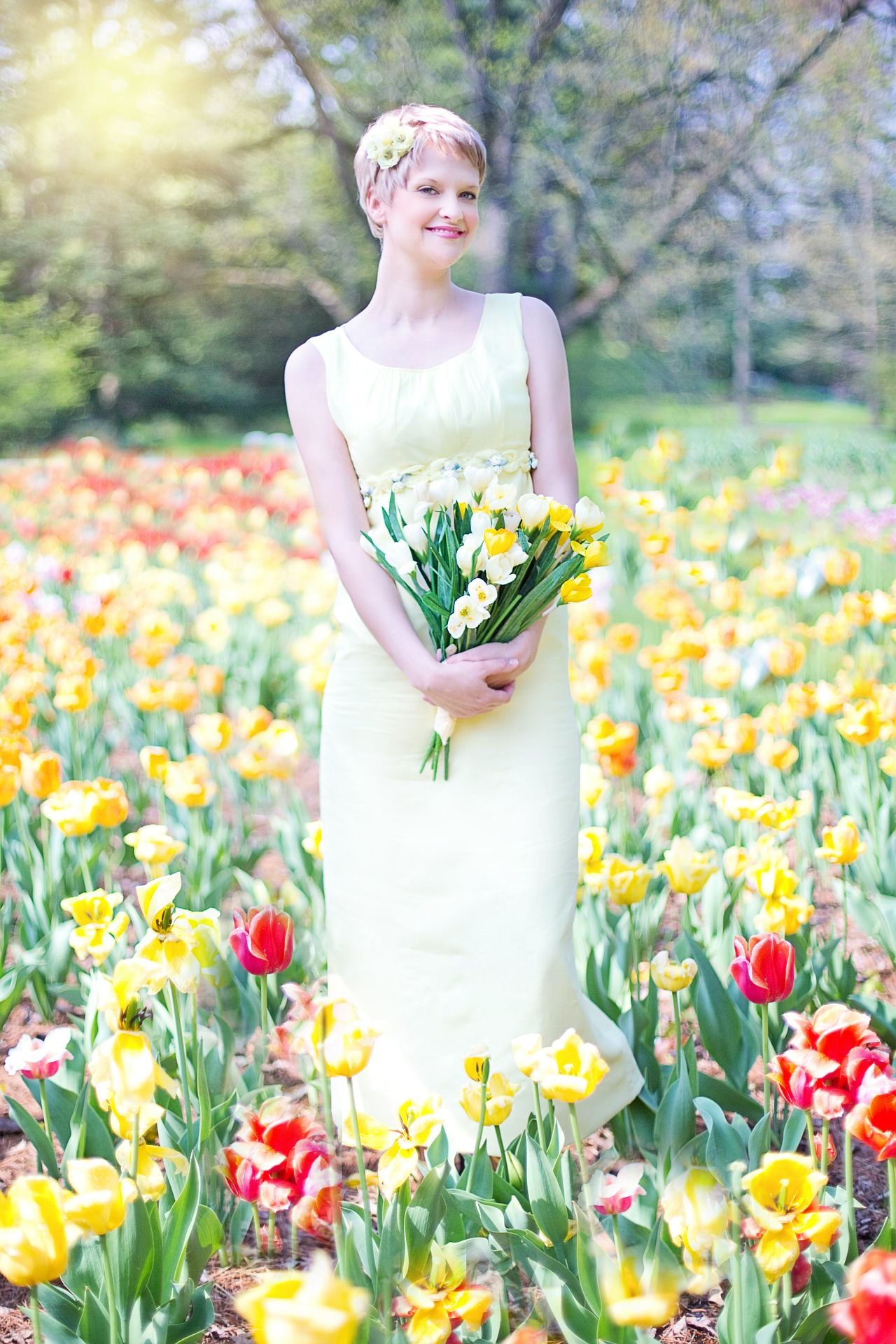 Field of tulips photo