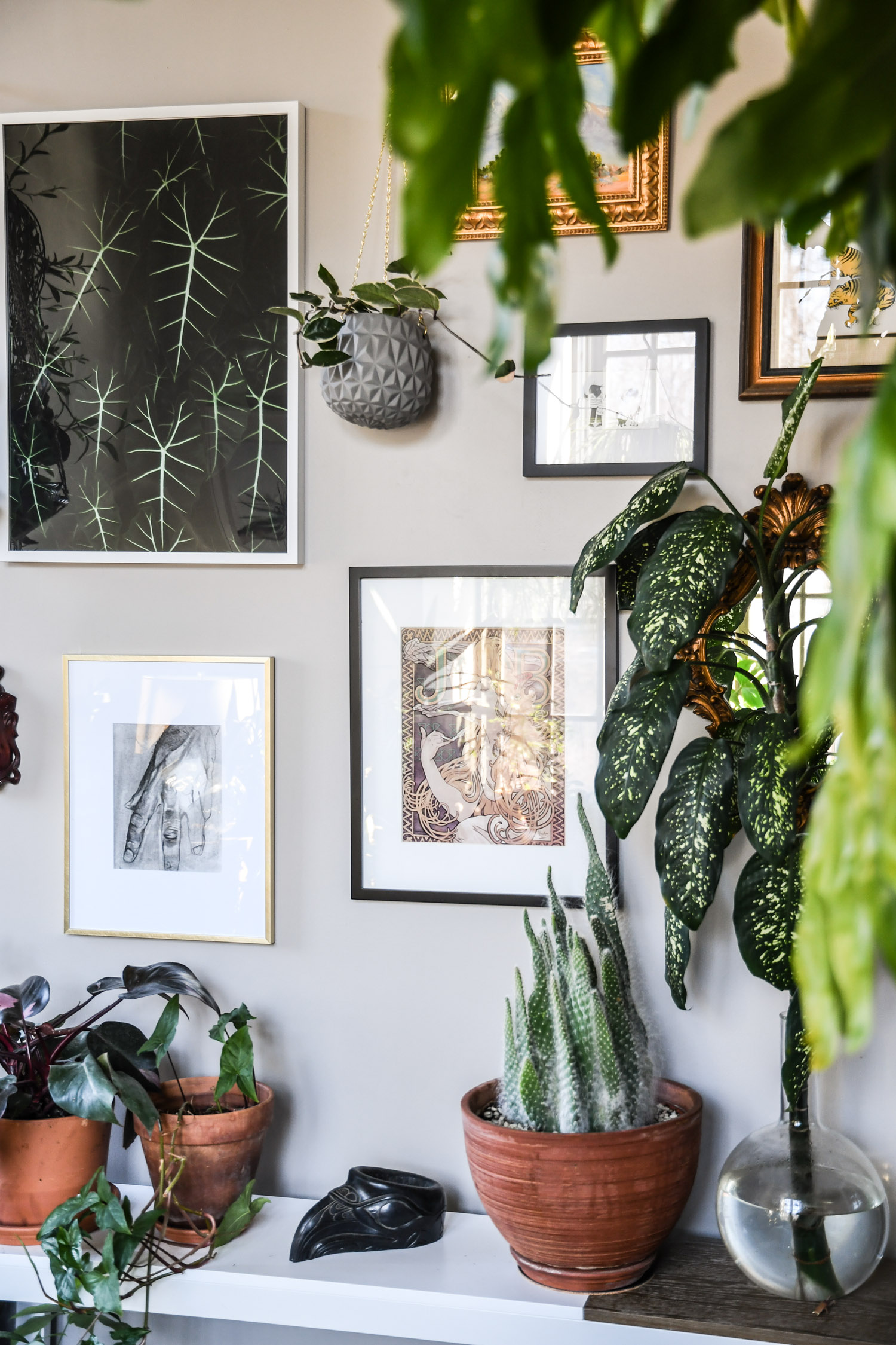 A Baltimore Loft Filled Floor-To-Ceiling With Plants - Front + Main