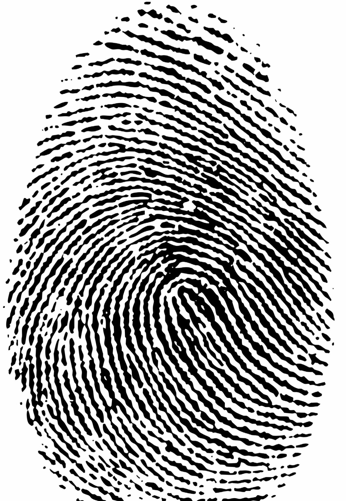 Day care providers blast fingerprint requirement | Politics ...
