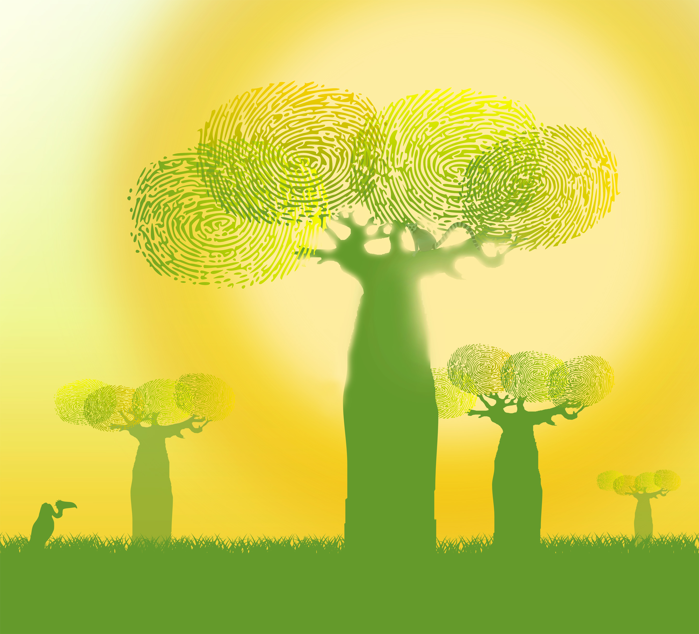 Fingerprints on Baobab Trees, Abstract, Reuse, Responsibility, Renewable, HQ Photo