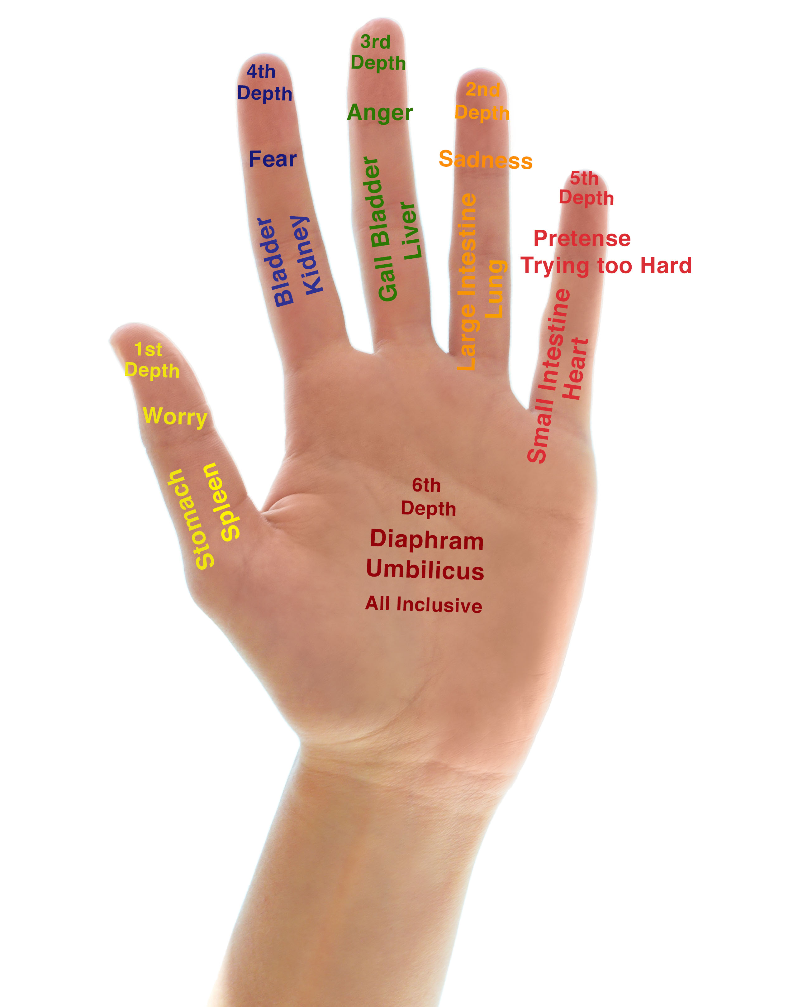 Free photo: Fingers - Arm, Hand, Human - Free Download - Jooinn
