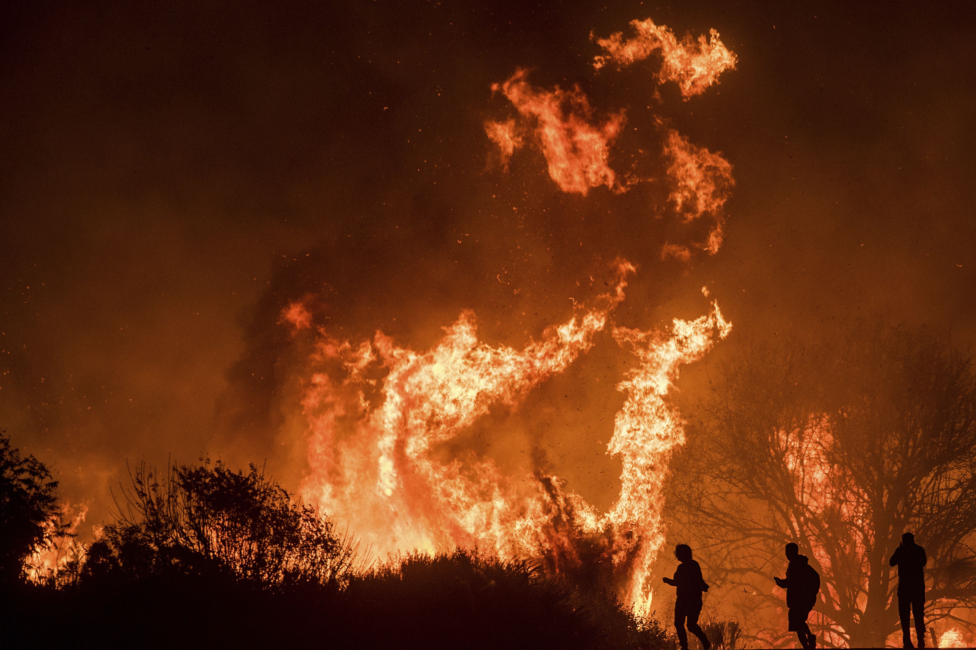 Skirball Fire: Officials Determine Cause Of Bel-Air Blaze; Apple ...