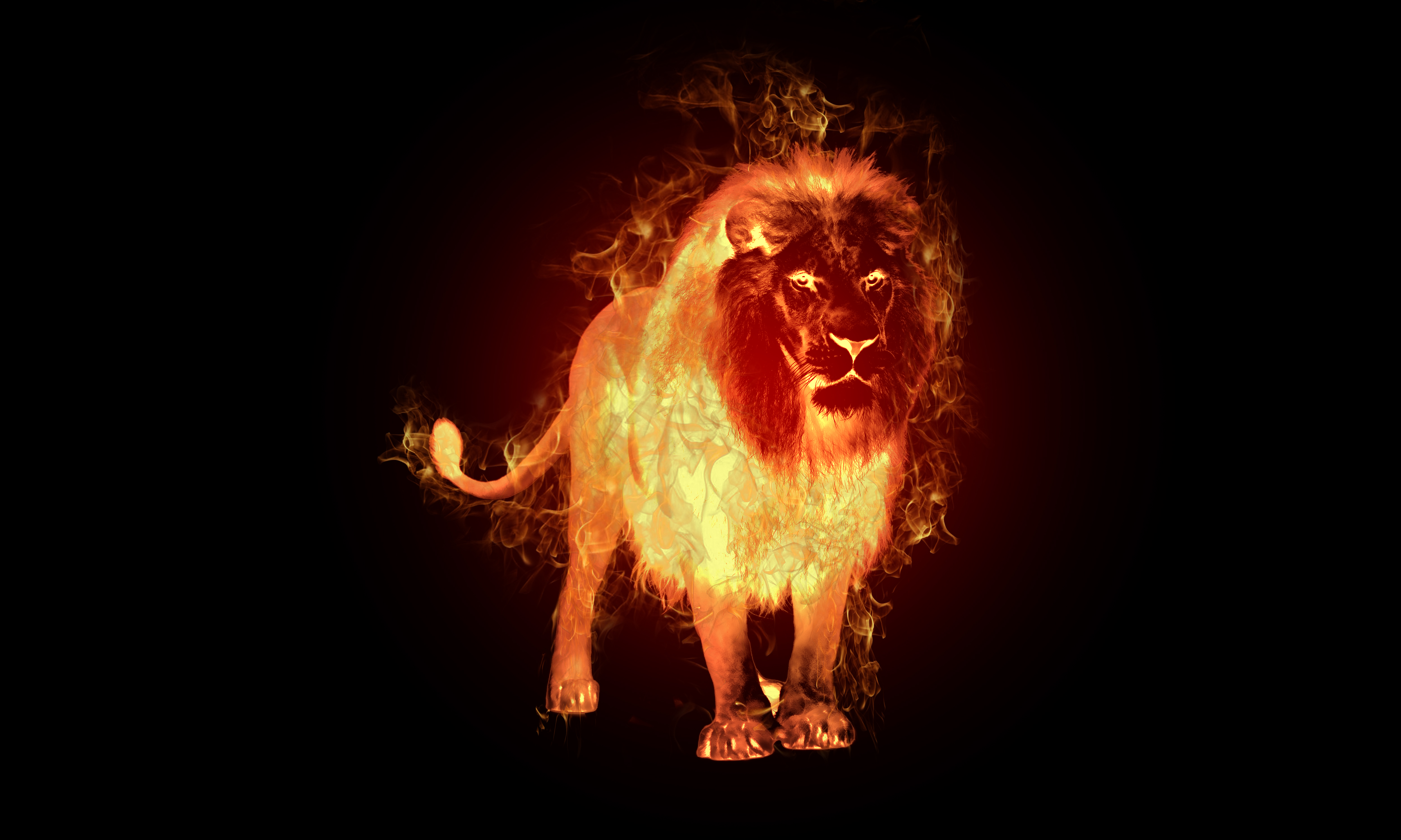 Fire Lion by Revangel93 on DeviantArt