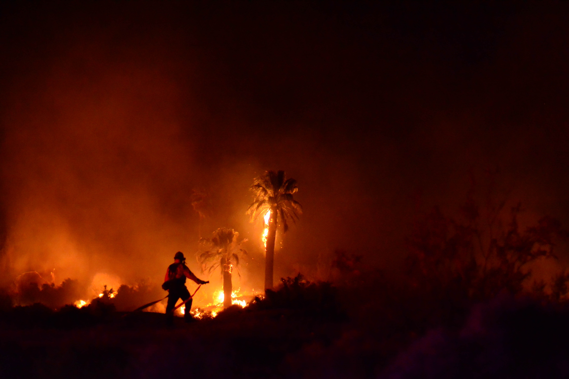 Arson suspected in blaze at Joshua Tree landmark, Oasis of Mara ...