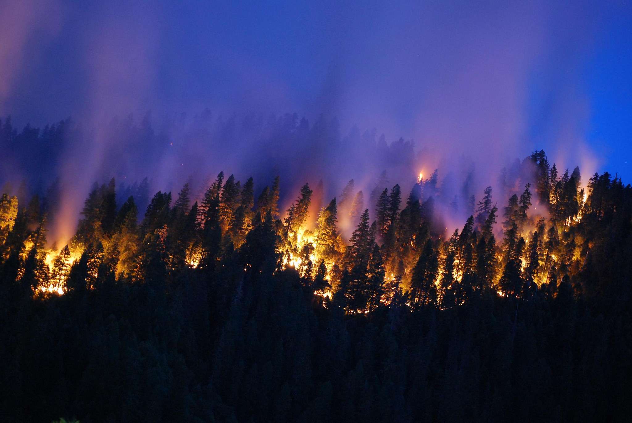 This is how much of the world is currently on fire | Popular Science