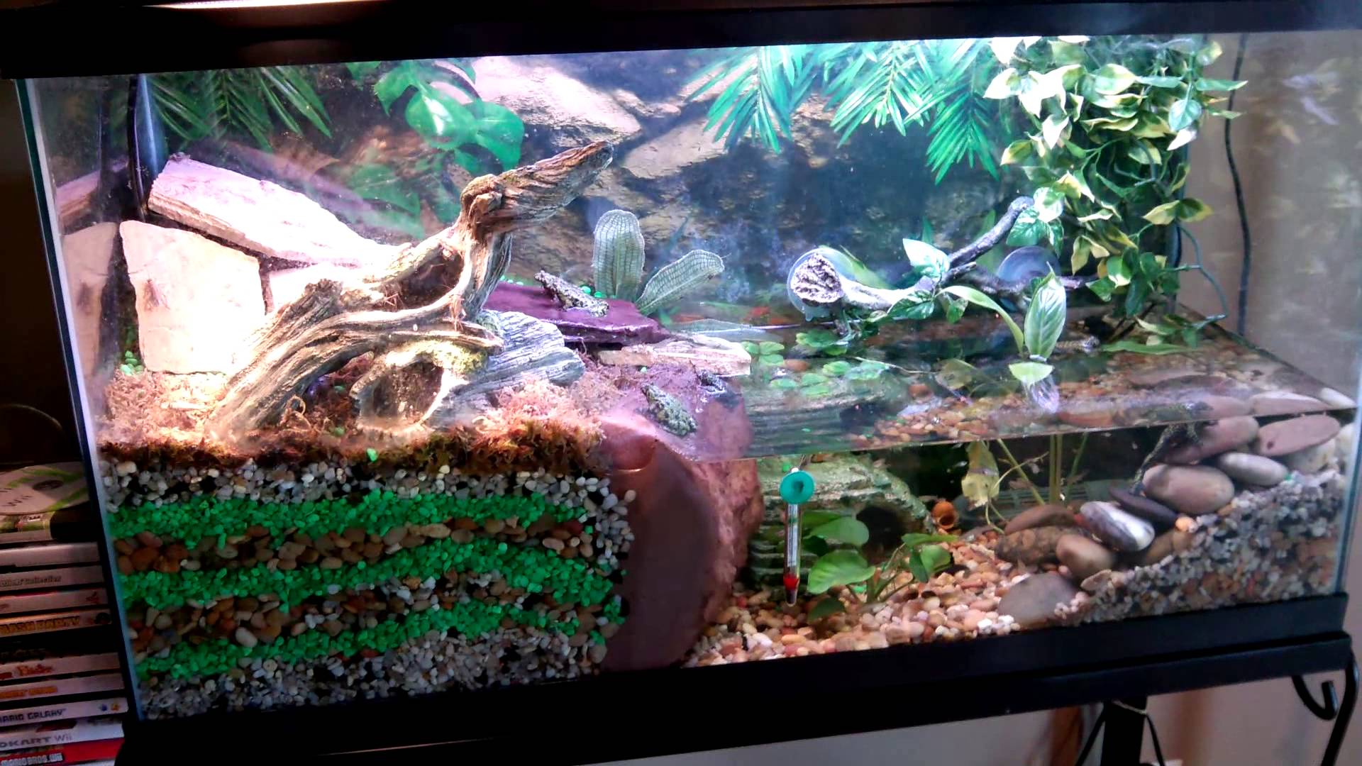 Second fire belly toad tank - YouTube