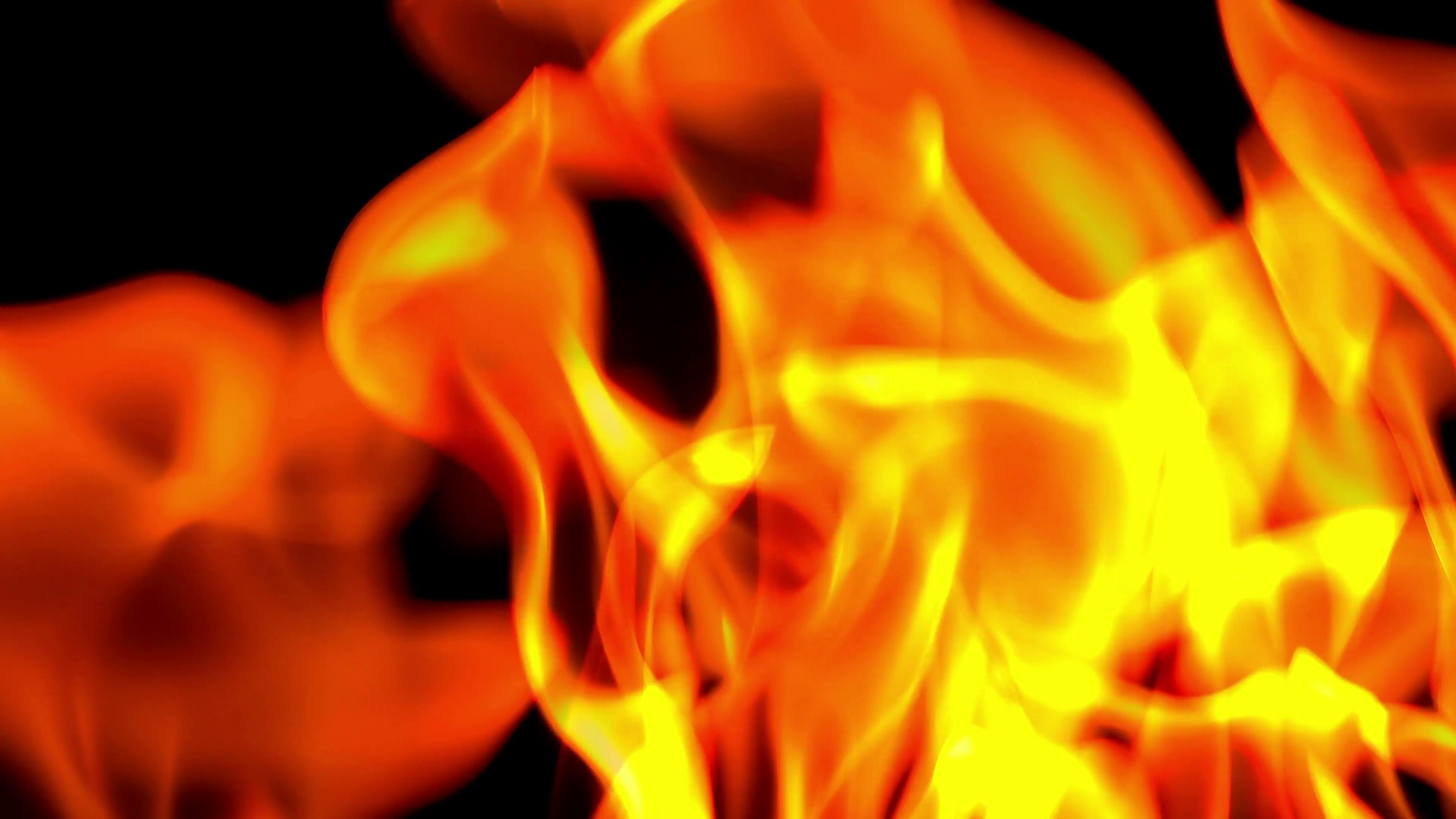 Burning fire flames over black background, 4k uhd footage Stock ...