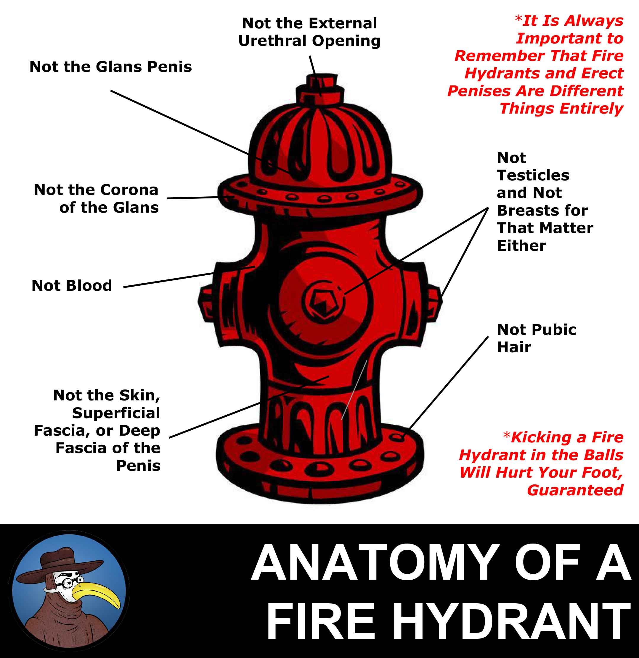 Tired Urologist Mistakes Fire Hydrant for Man with Priapism | GomerBlog