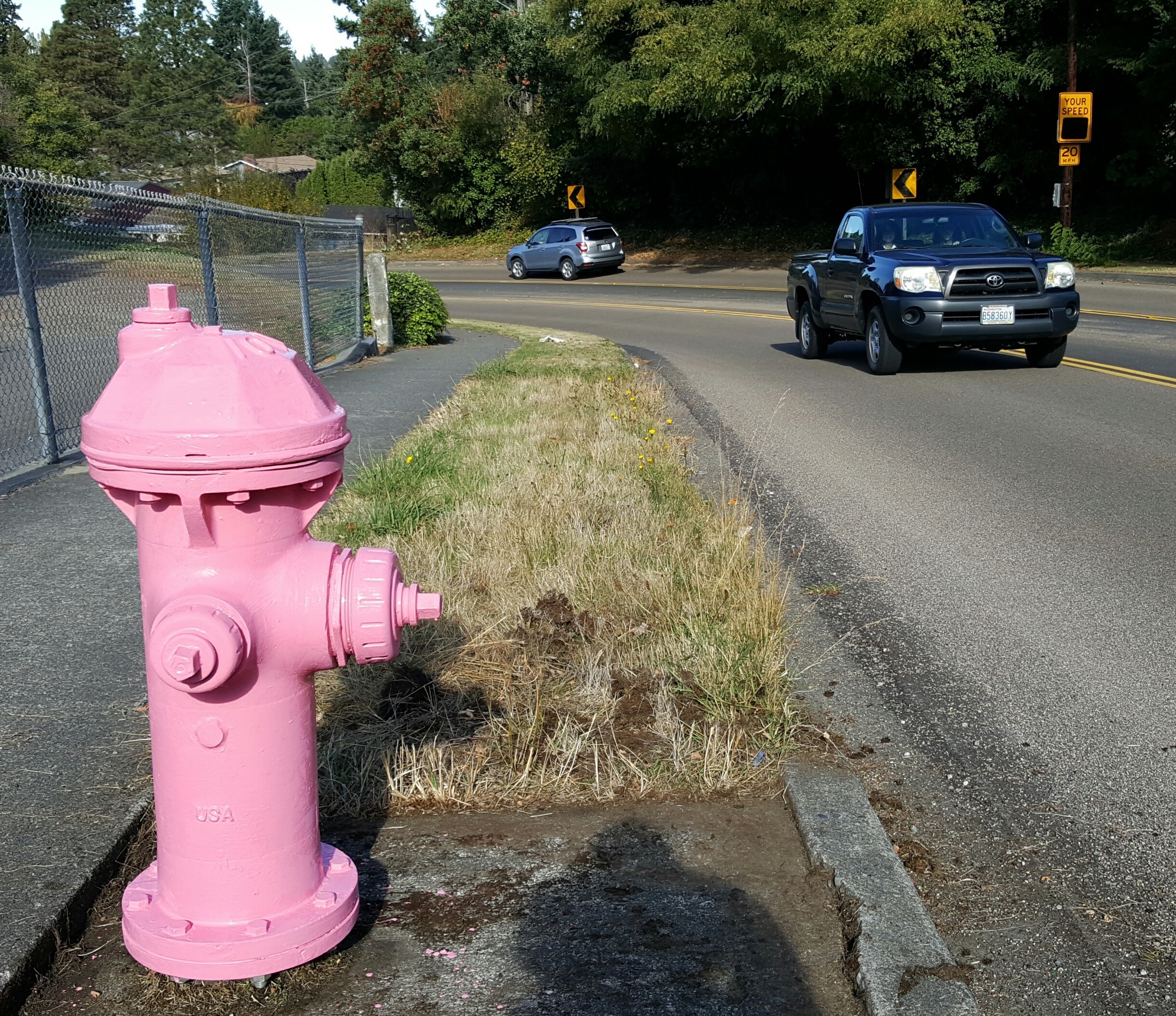 October; Paint your Fire Hydrant Pink Month | Westside Seattle